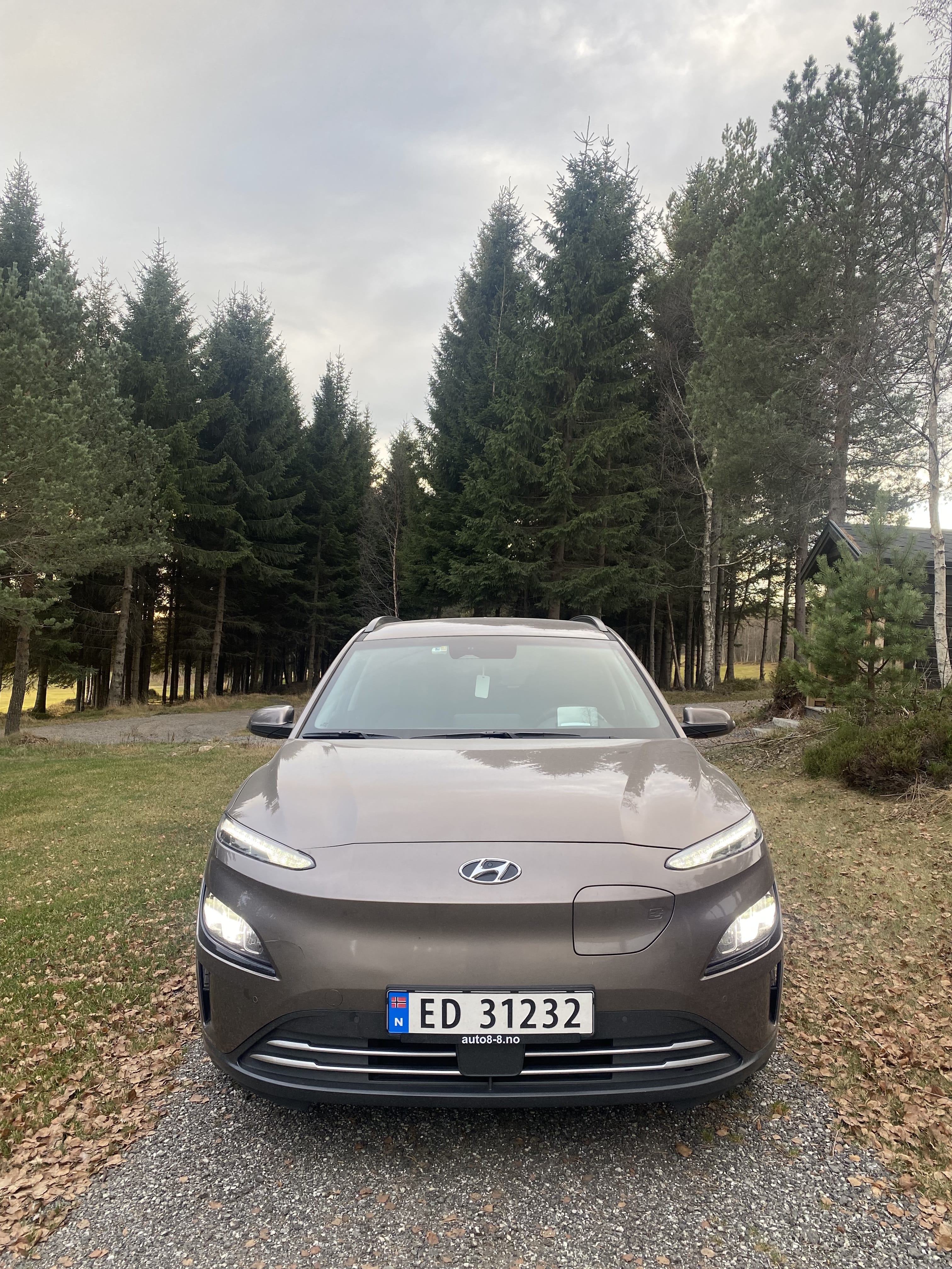 Hyundai Kona Electric, 2021, Elektrisk, automatisk