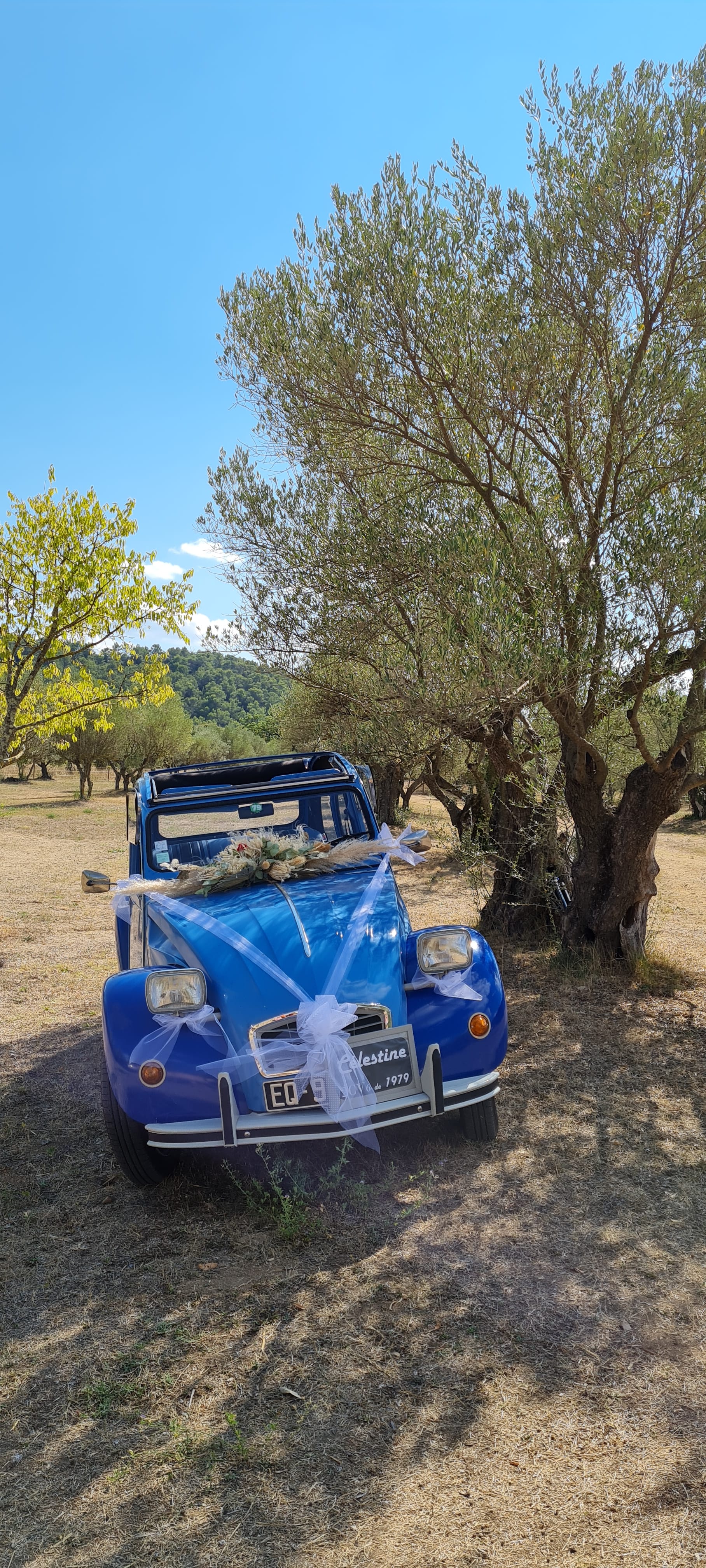 Citroen 2CV, 1979, Essence 98