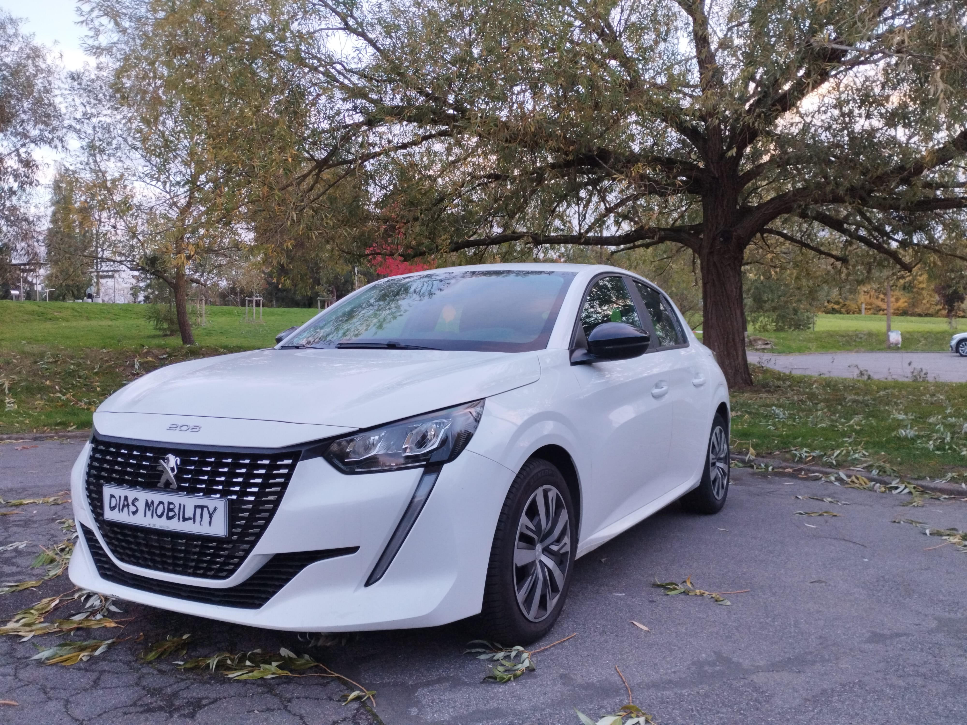 Peugeot 208 avec Climatisation