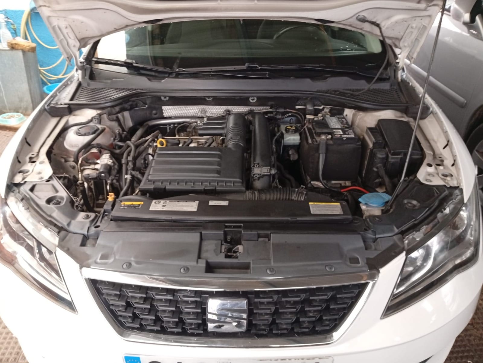 Seat Leon con Neumáticos de invierno