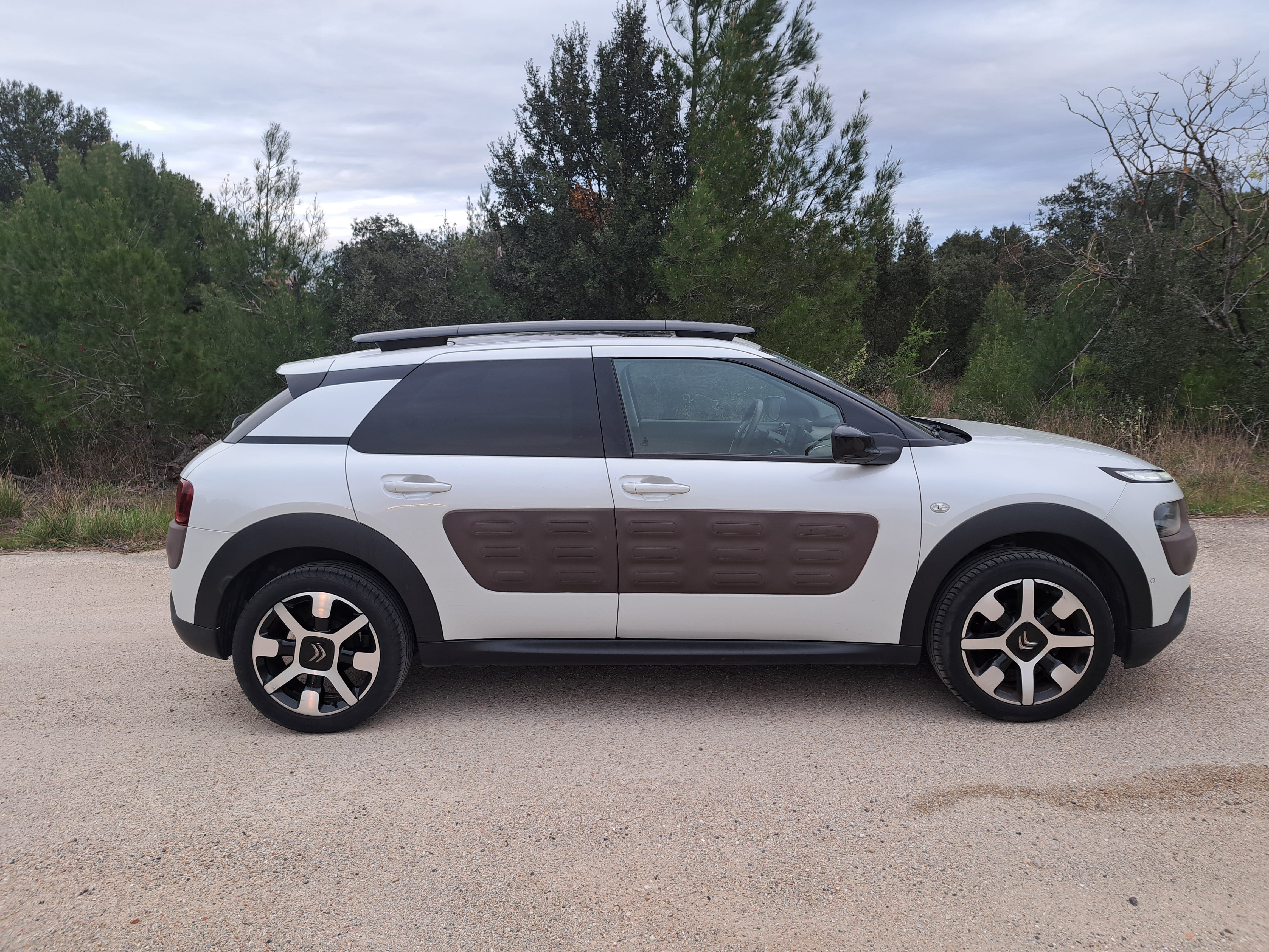 Citroen C4 Cactus avec Climatisation