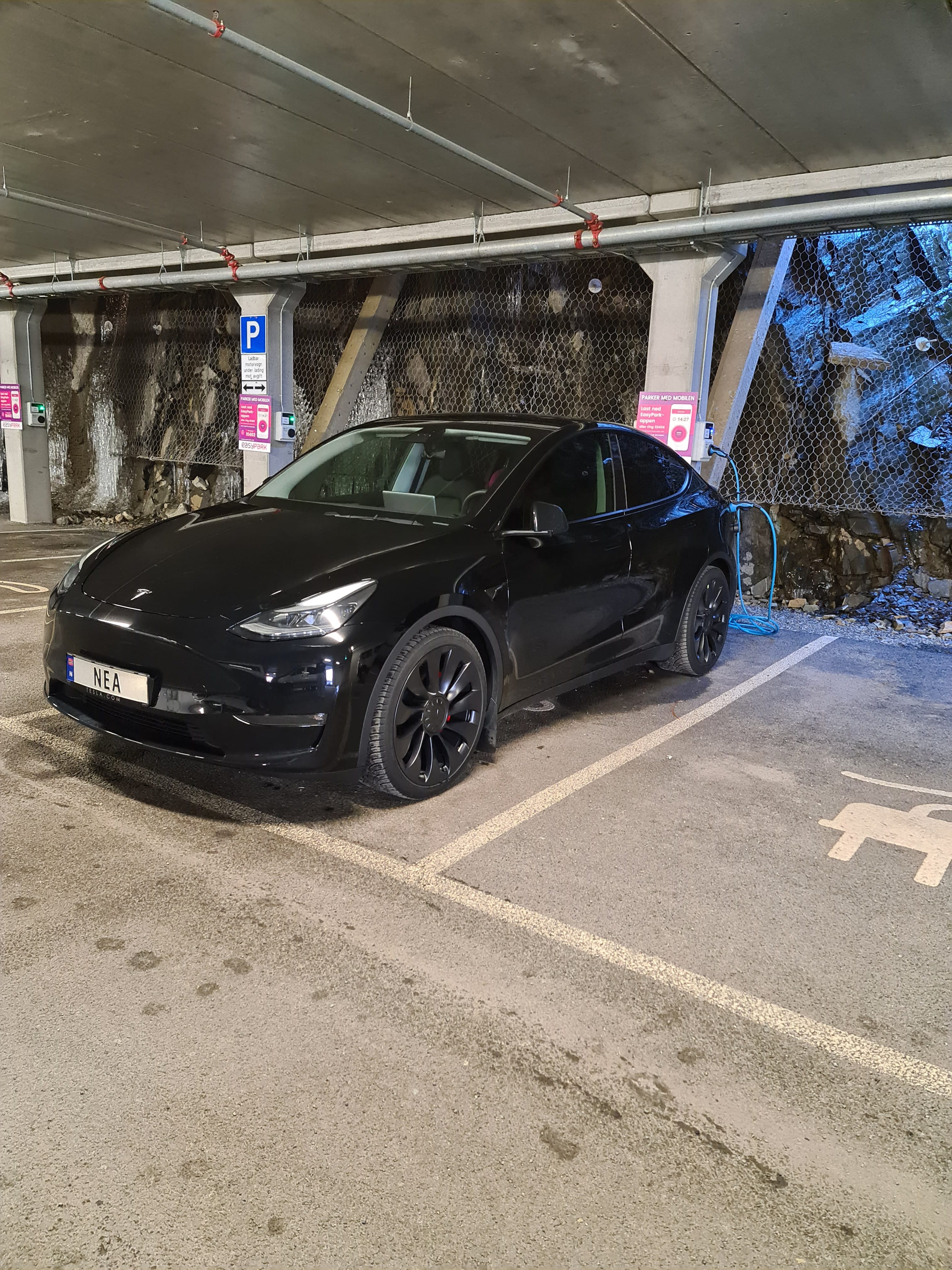 Tesla Model Y med Aircondition