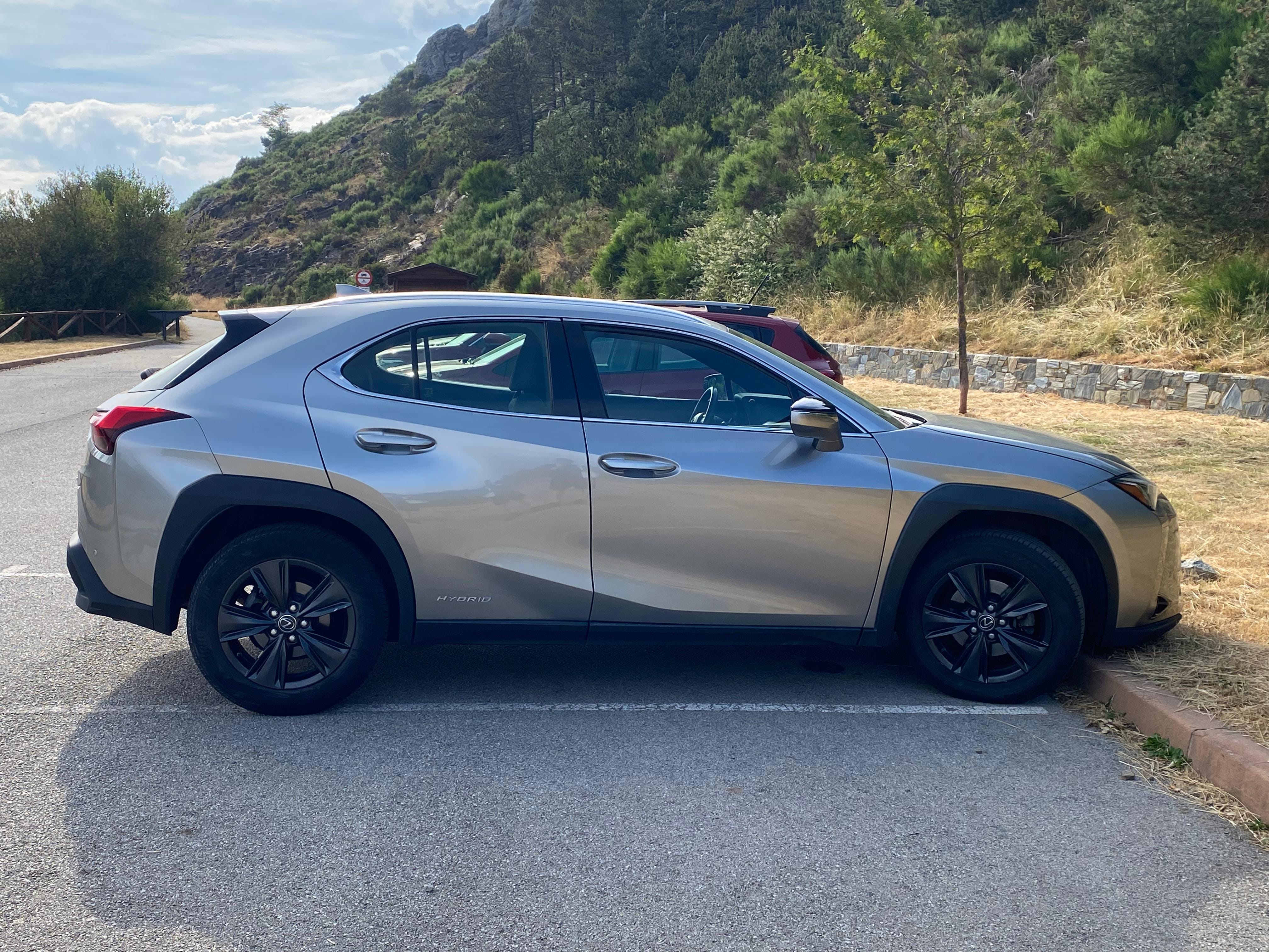 Lexus UX 250h