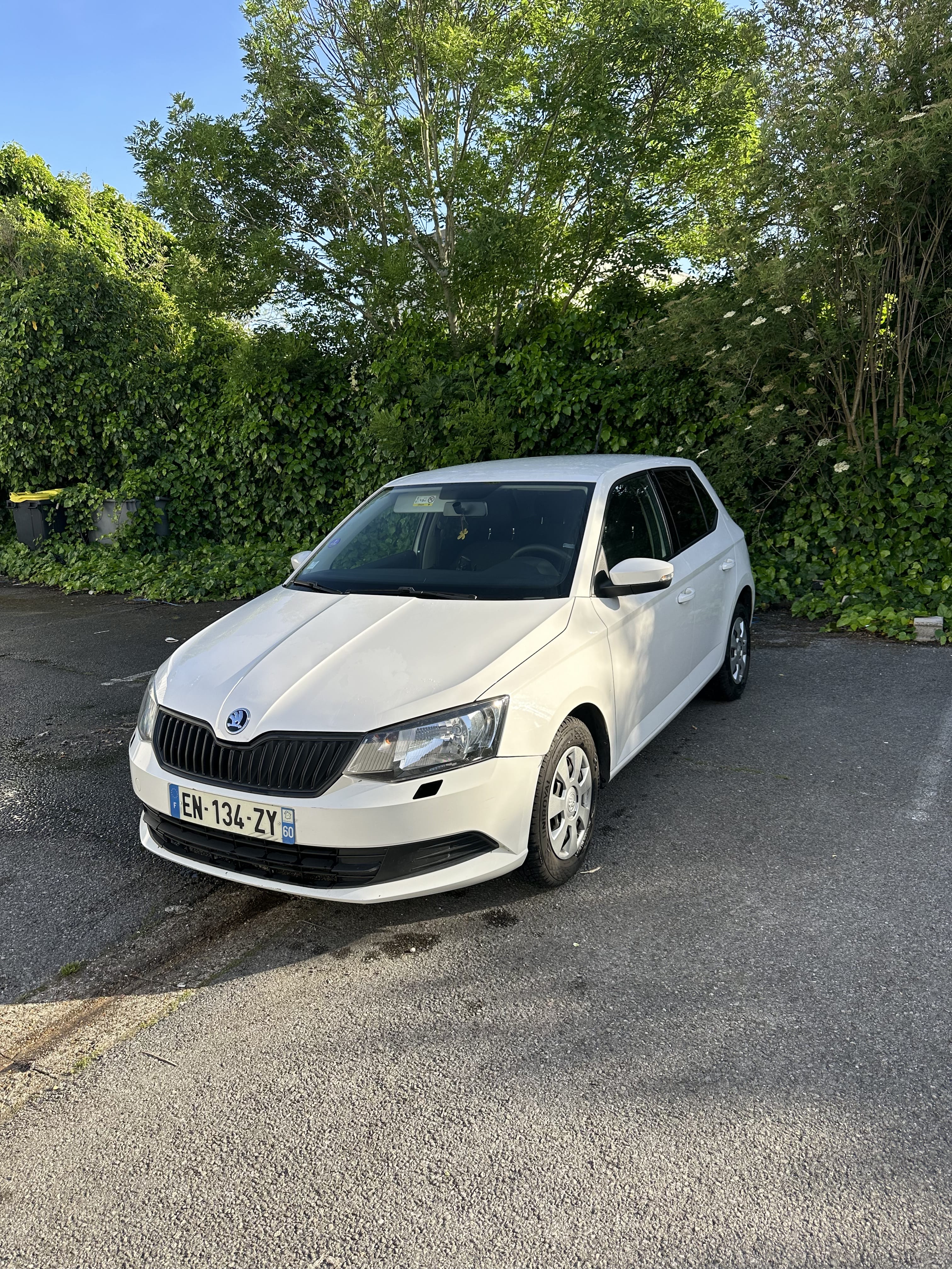 Skoda Fabia, 2017, Essence 95