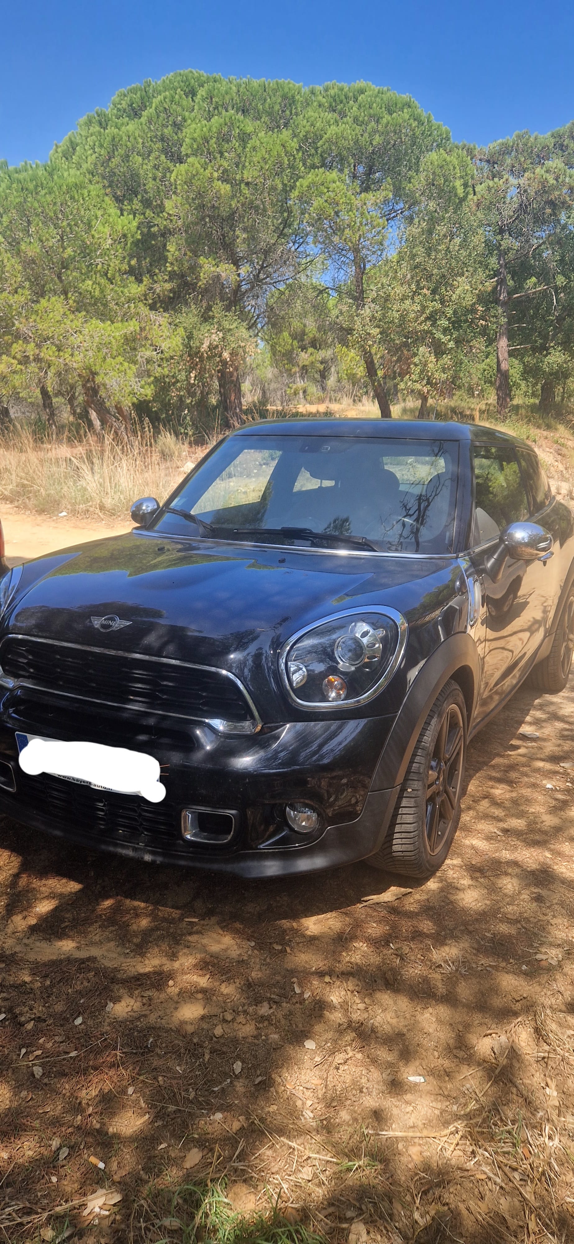 Mini Paceman