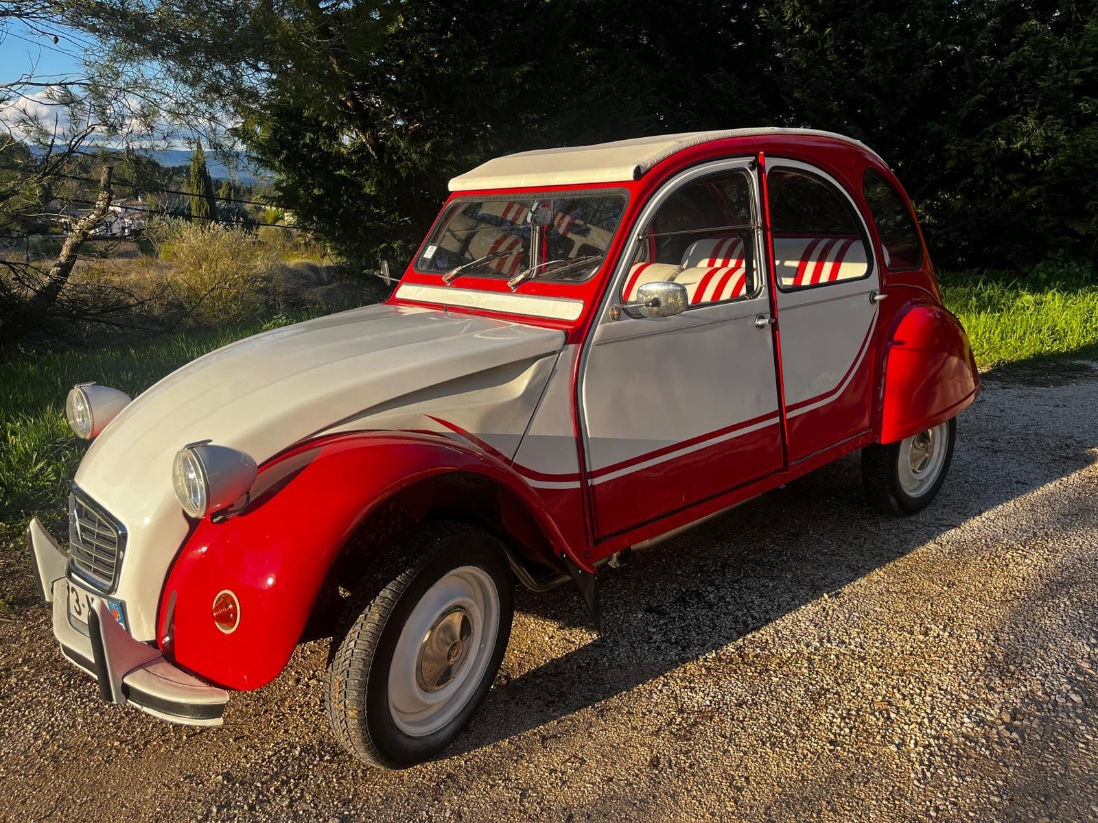 Citroen 2CV, 1981, Essence 98