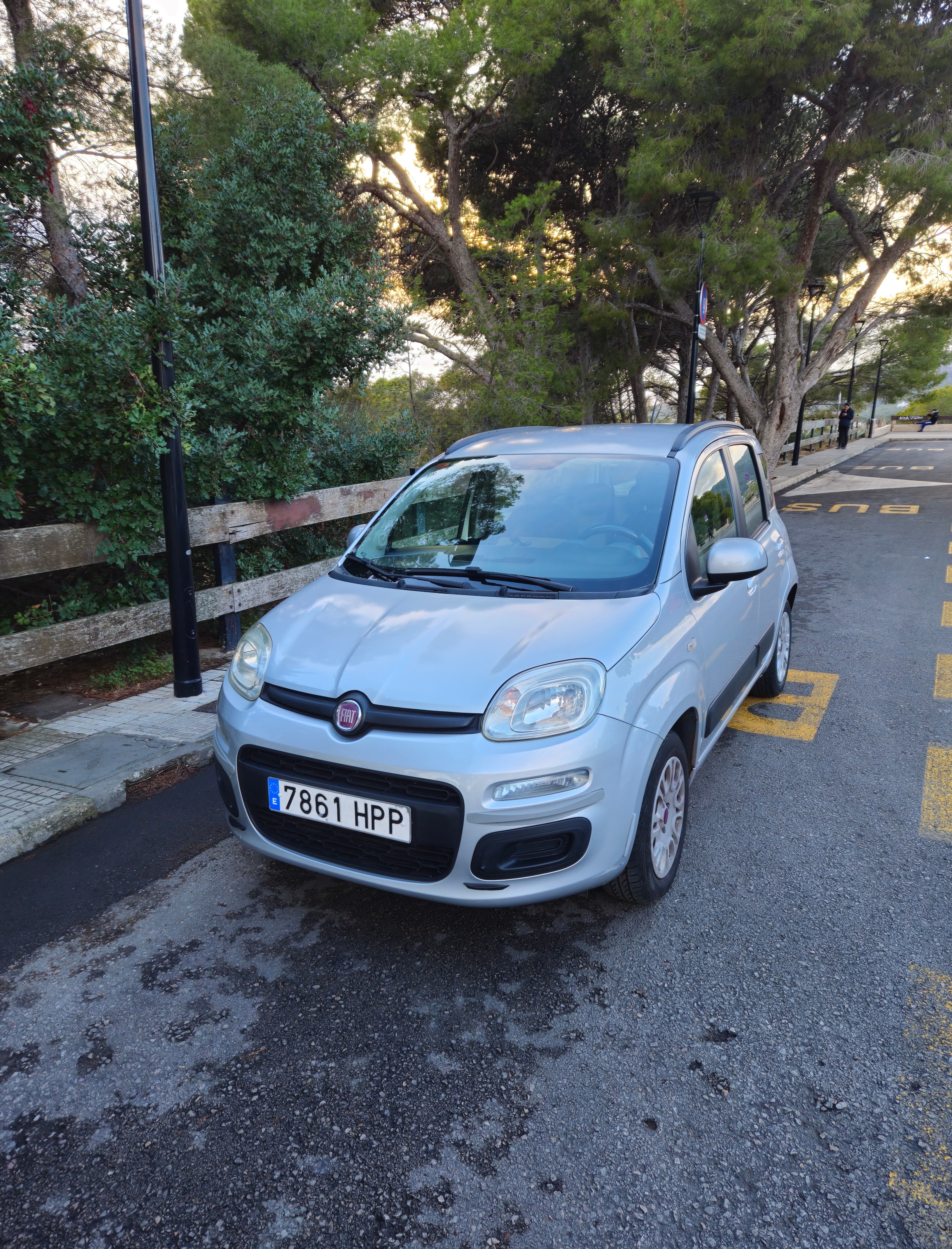 Fiat Panda 1.2 GRIS, 2013, Gasolina 95