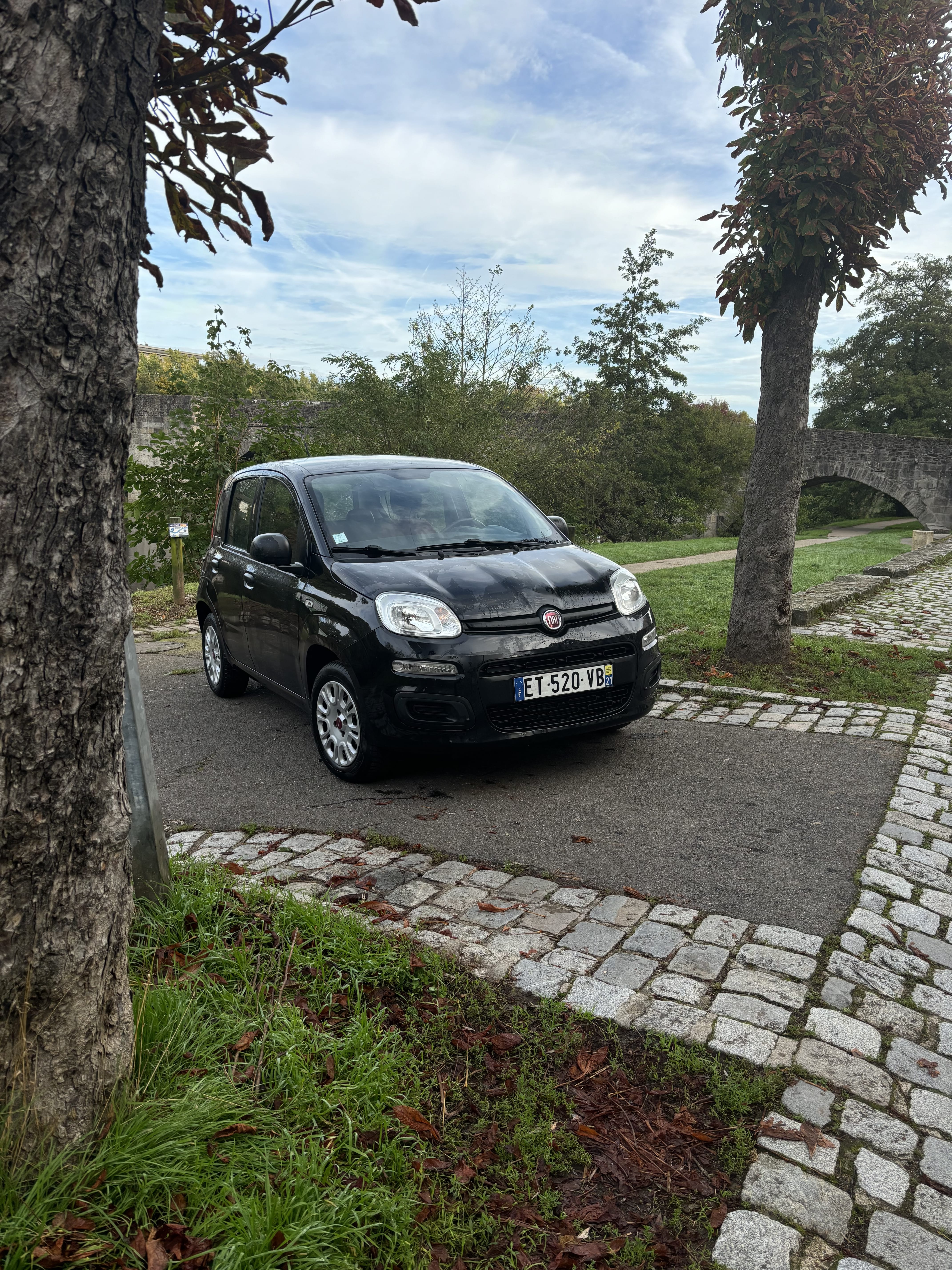Fiat Panda BUSINESS 1.2L 69CV