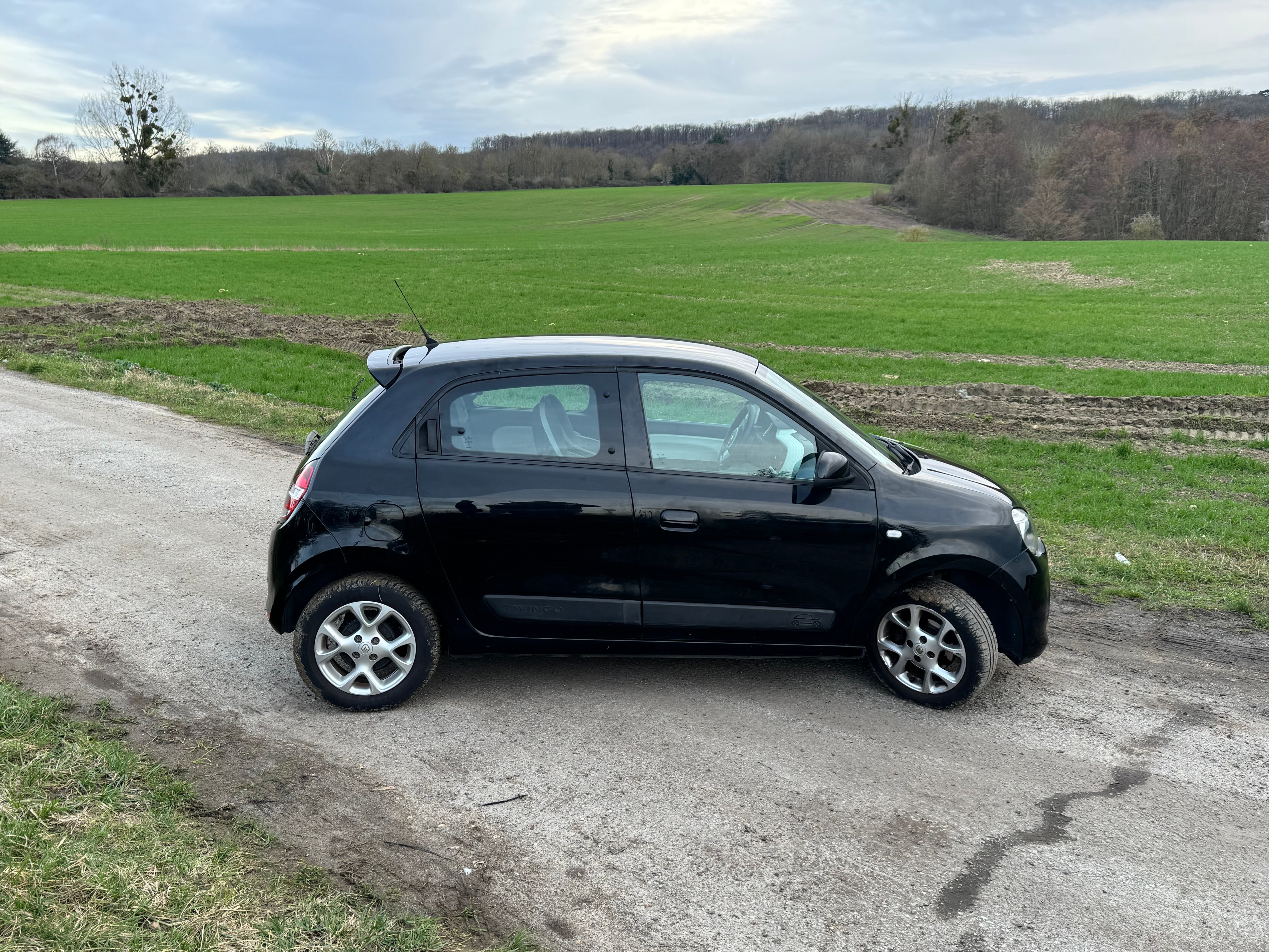 Renault Twingo III économique  Faible conso & facile à garer