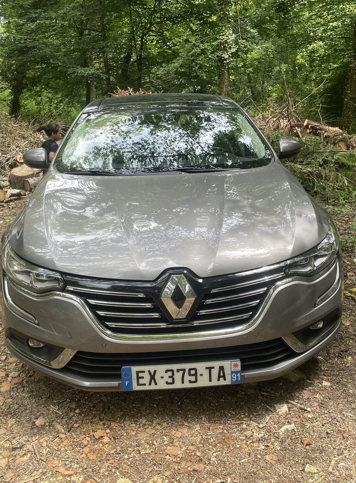 Renault Talisman, 2018, Diesel, automatique