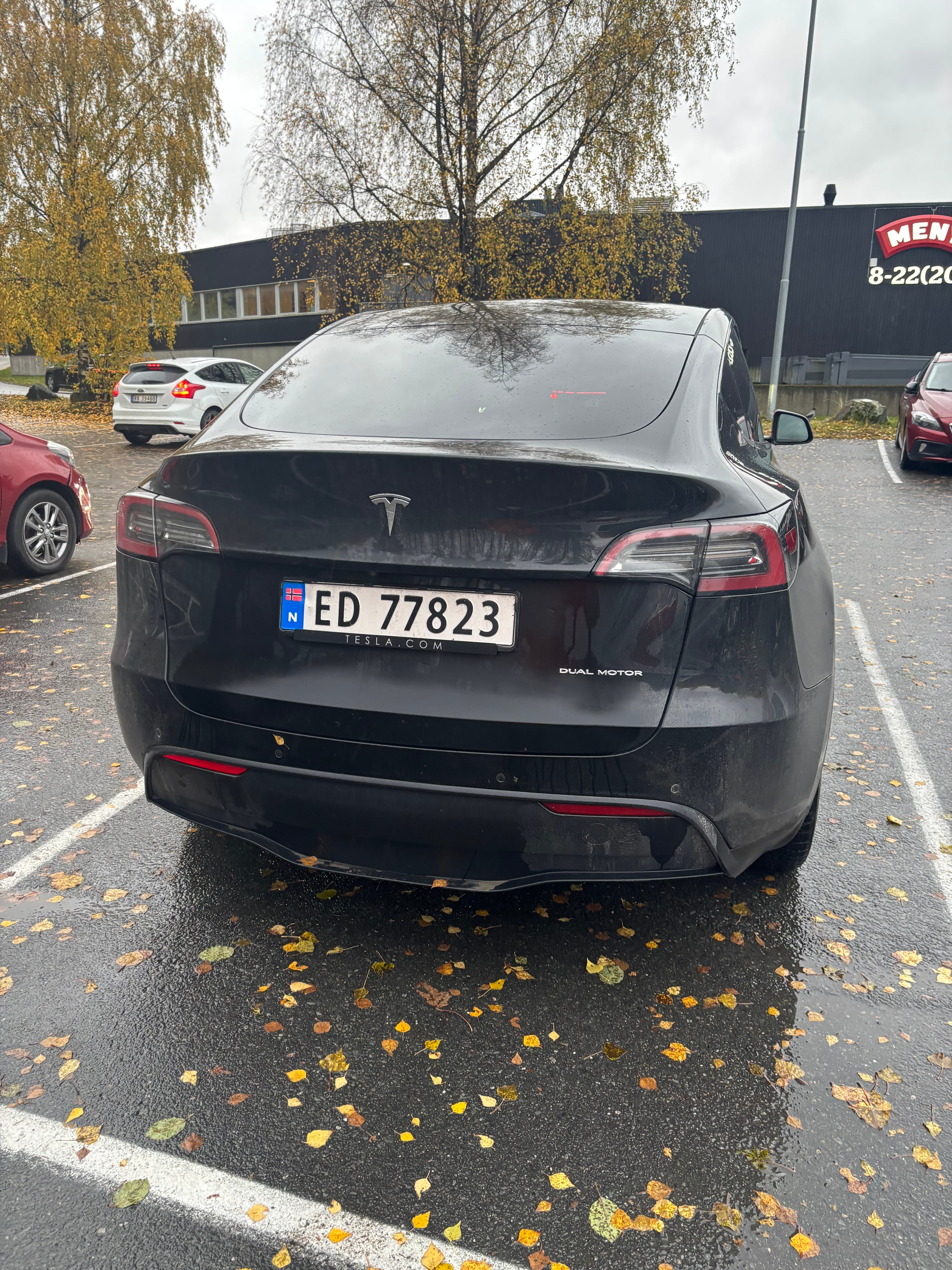 Tesla Model Y Long Range avec Caméra de recul