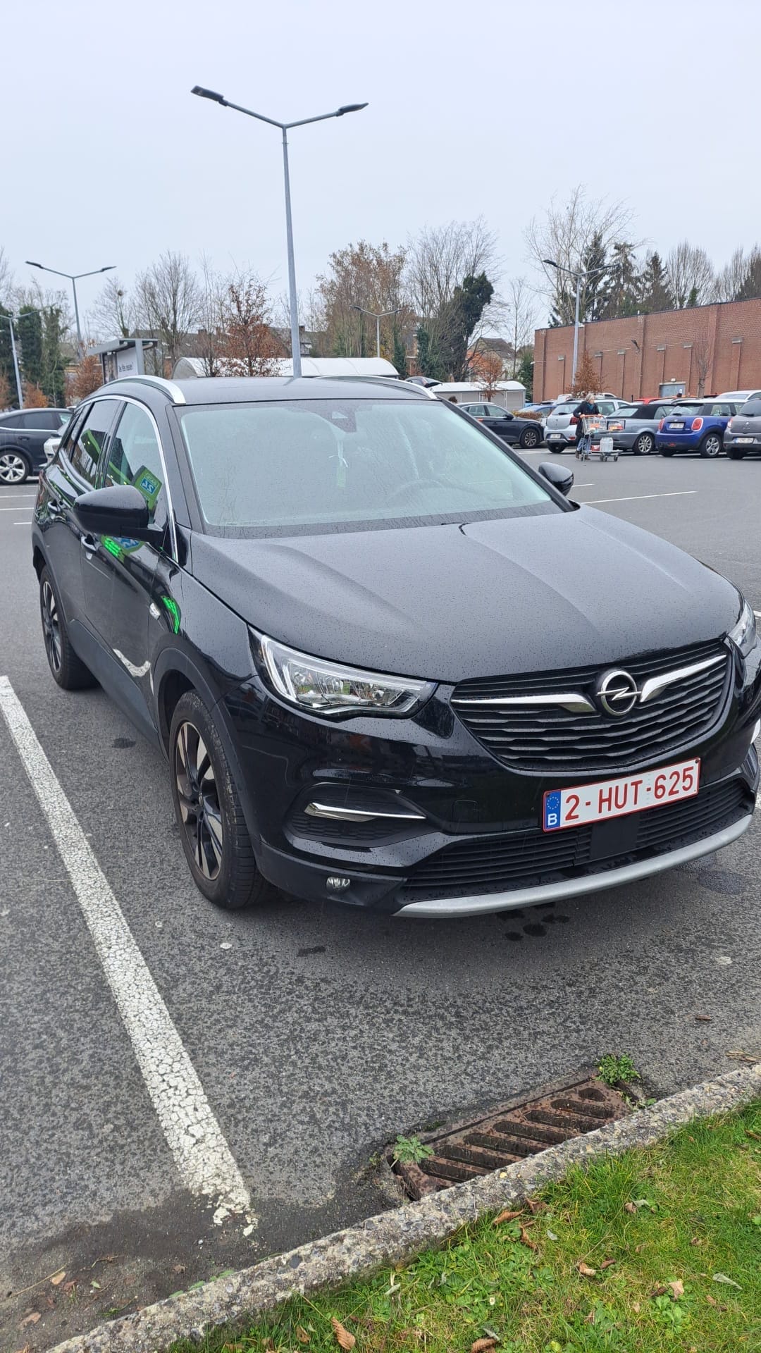 Opel Grandland X, 2020, Euro 95 (E10)