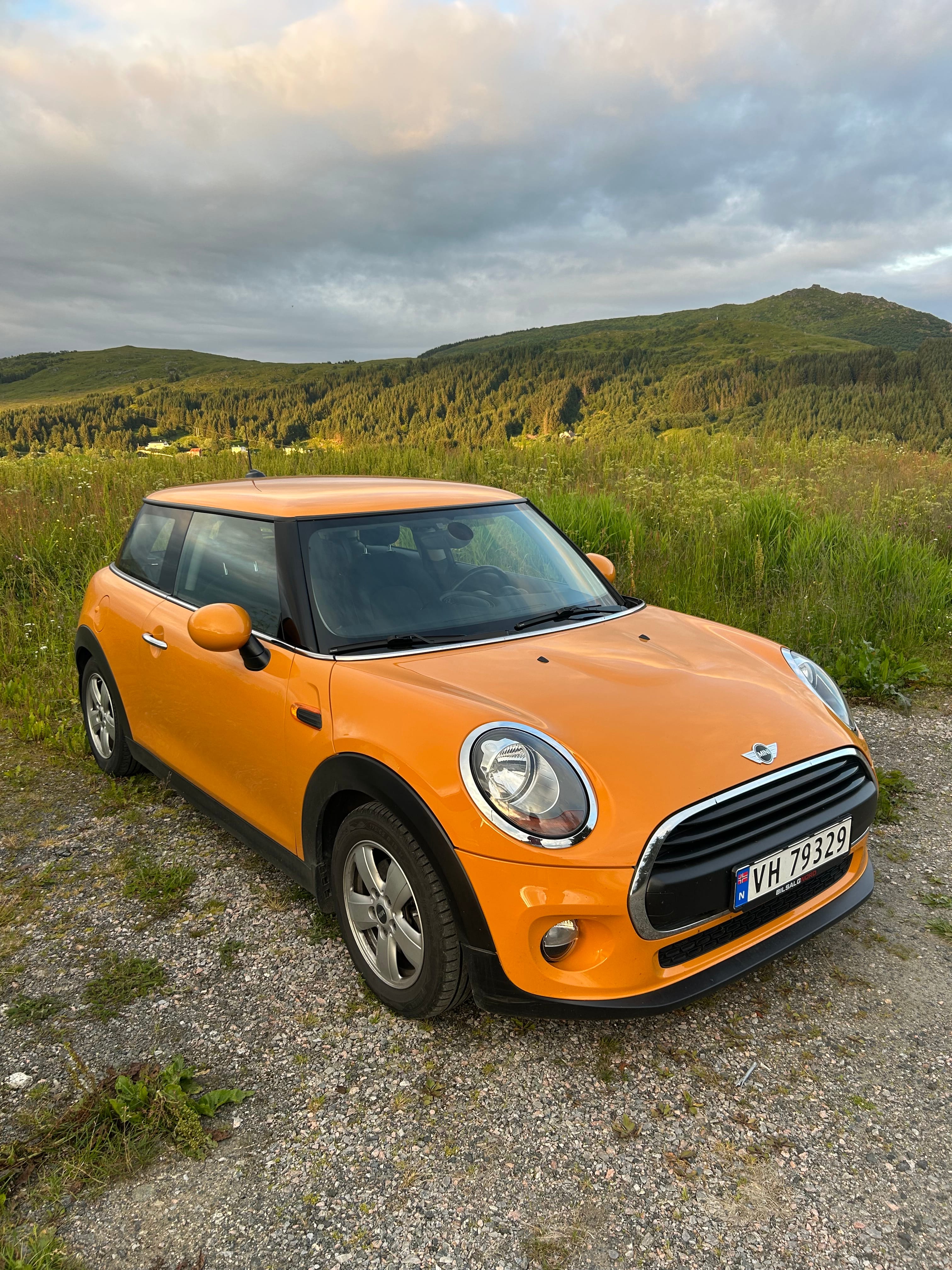 Mini One 3-dører, 2016, Blyfri 95