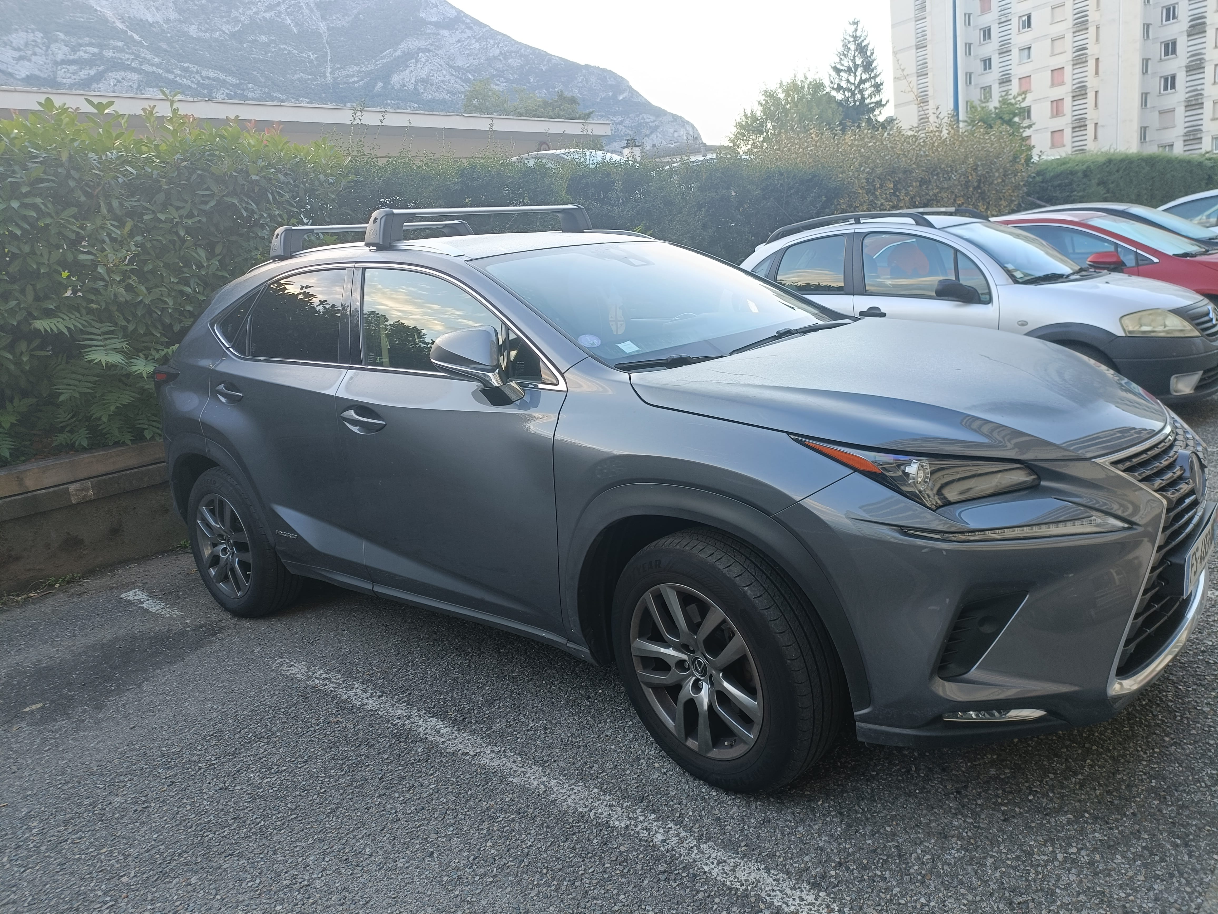 Lexus NX 300h avec Caméra de recul