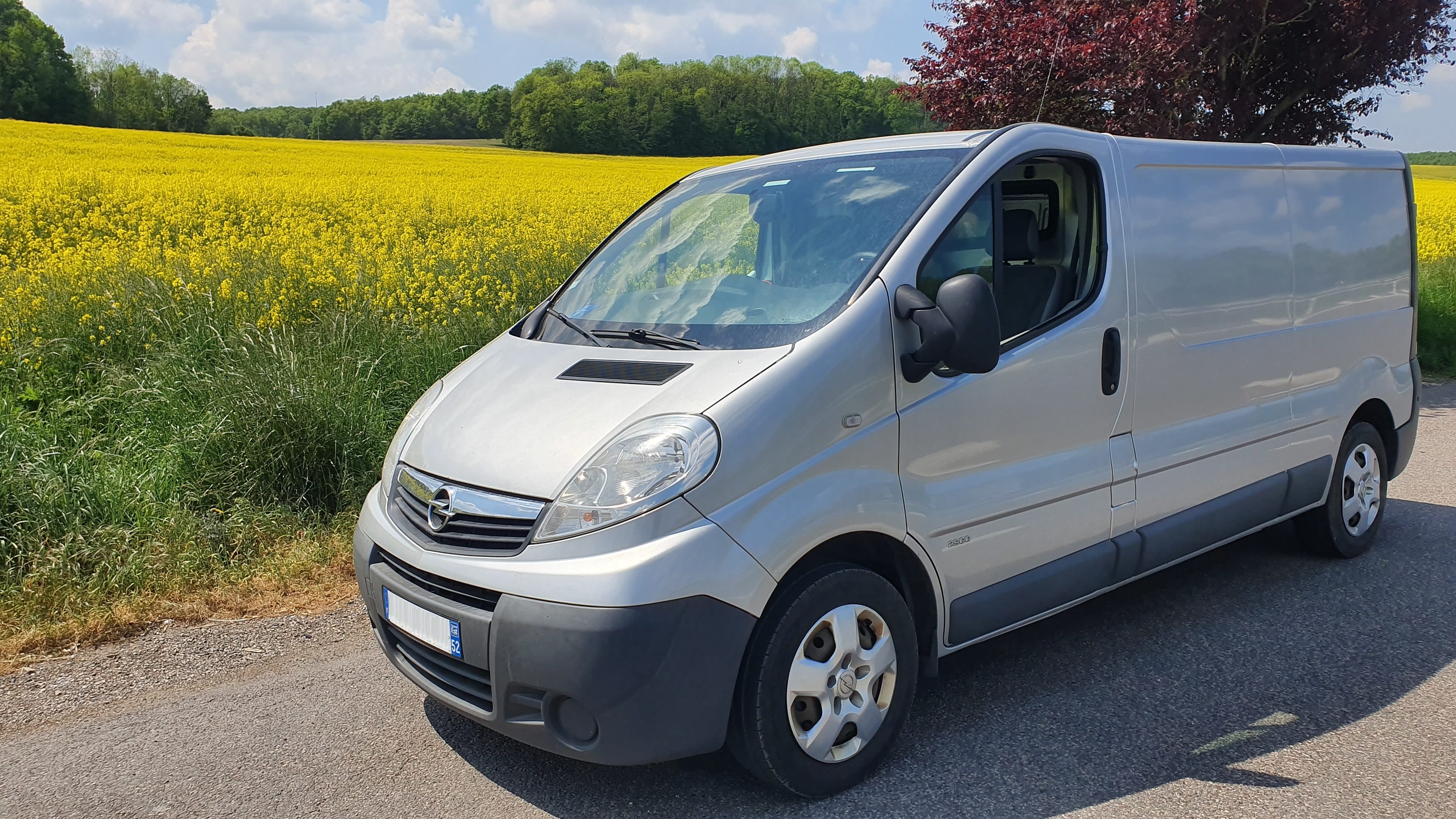 Opel Vivaro Version Rallongée + Regulateur de vitesse + Caméra de Recul, 2013, Diesel