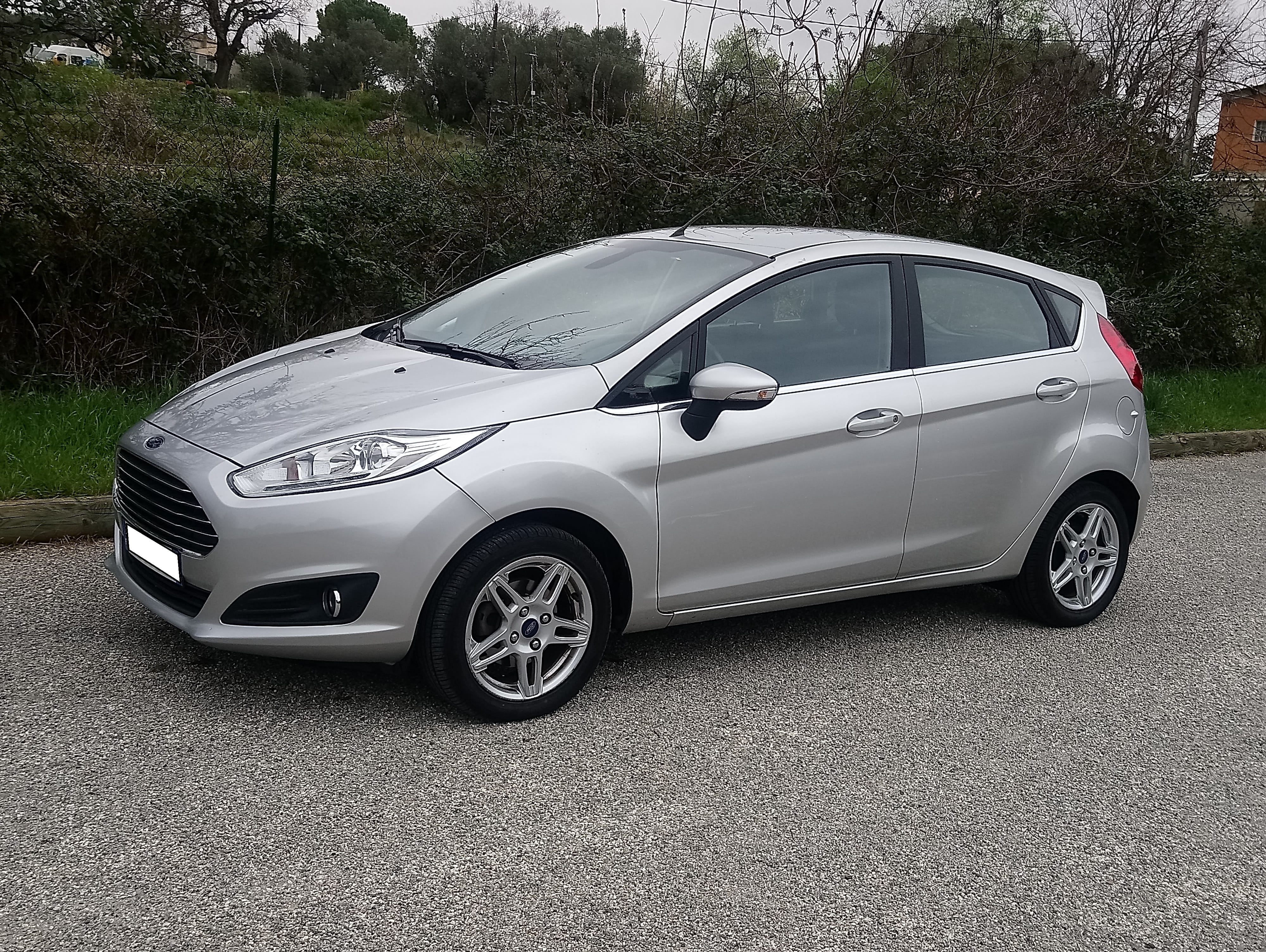 Ford Fiesta VI 5 portes 2014, 2013, Essence 95