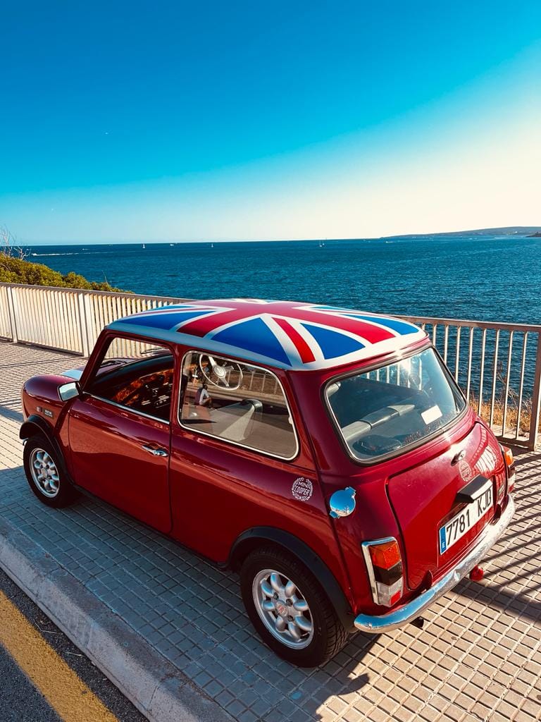 Rover Mini
