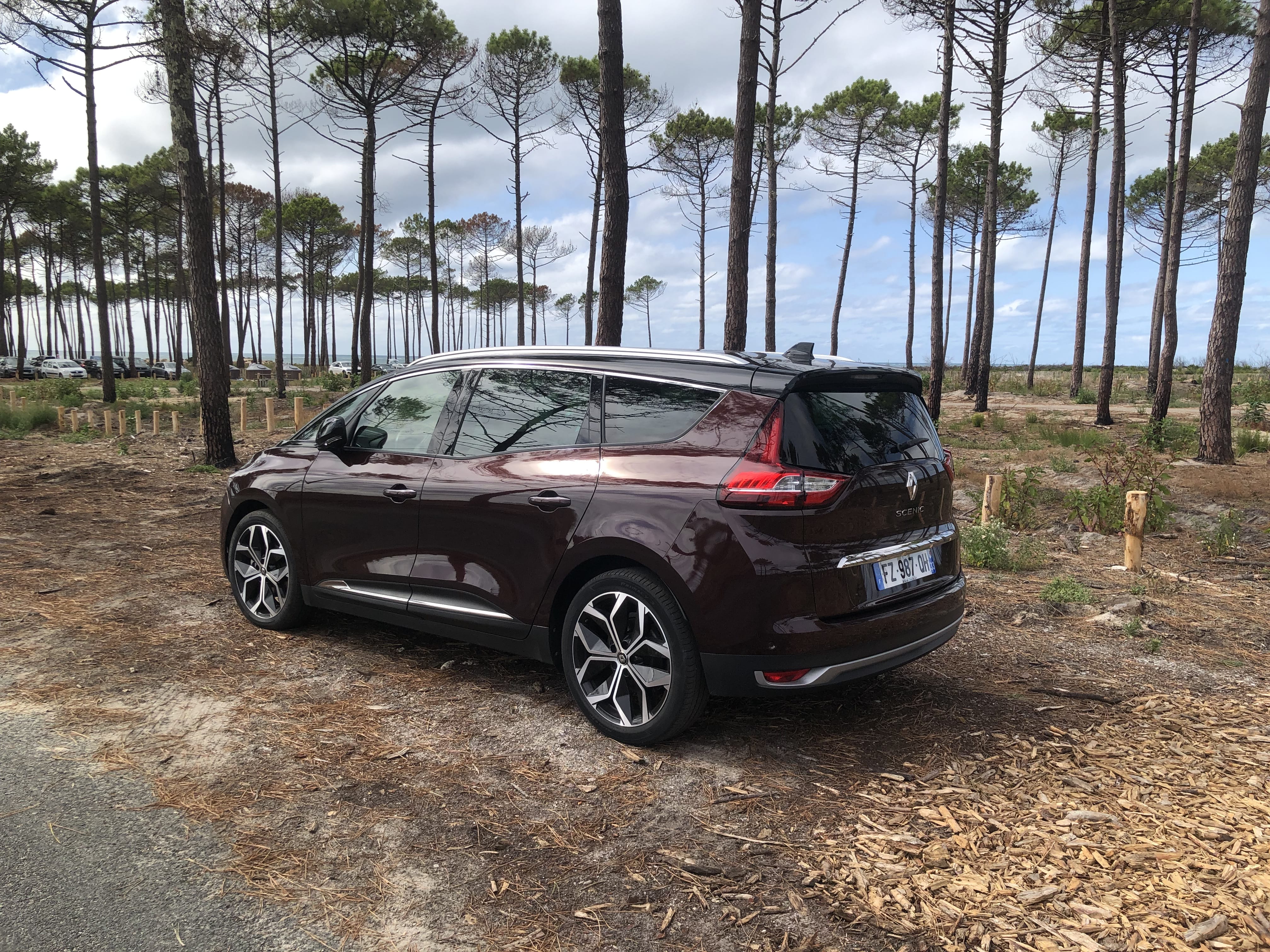 Renault Grand Scenic con Audio Bluetooth