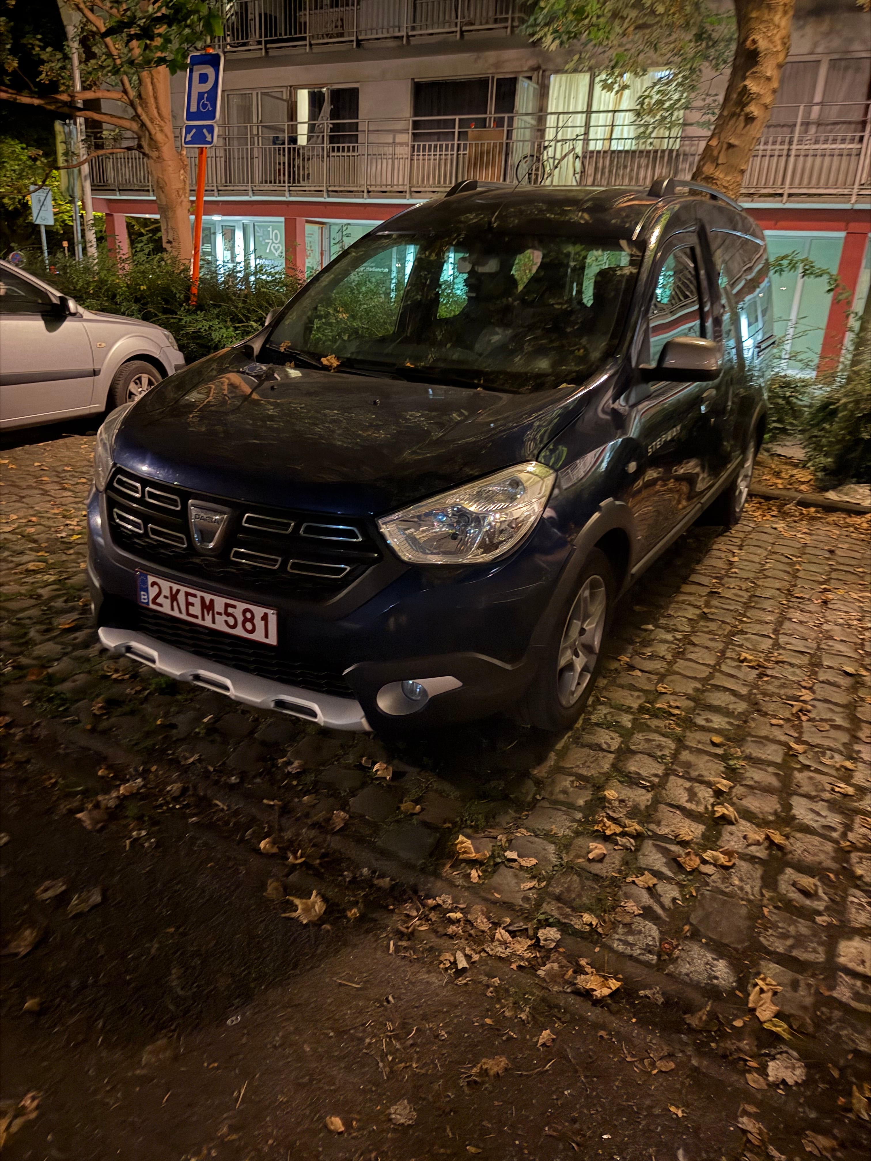 Dacia Dokker Van, 2019, Diesel (B7)