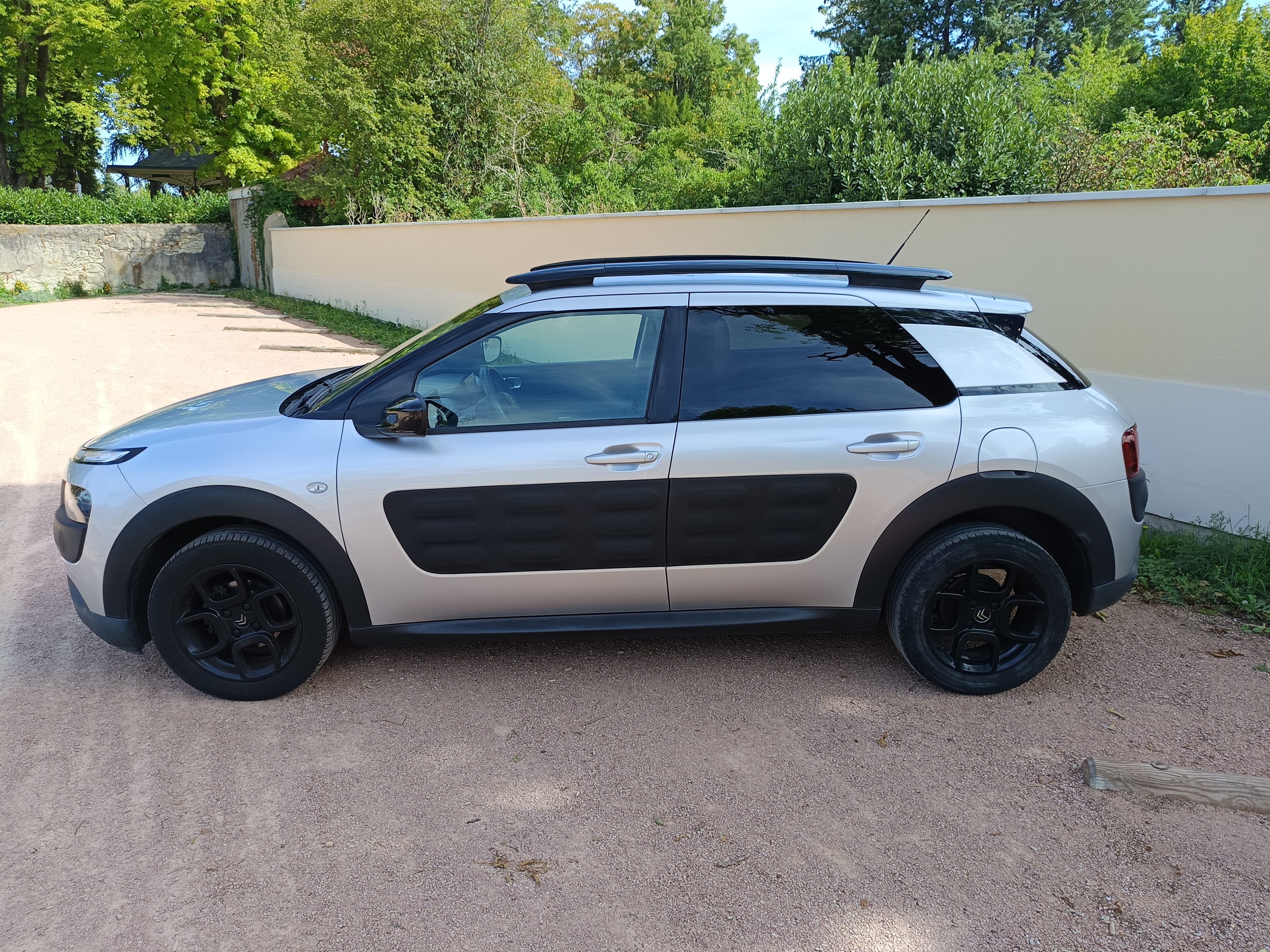 Citroen C4 Cactus 110 avec Climatisation