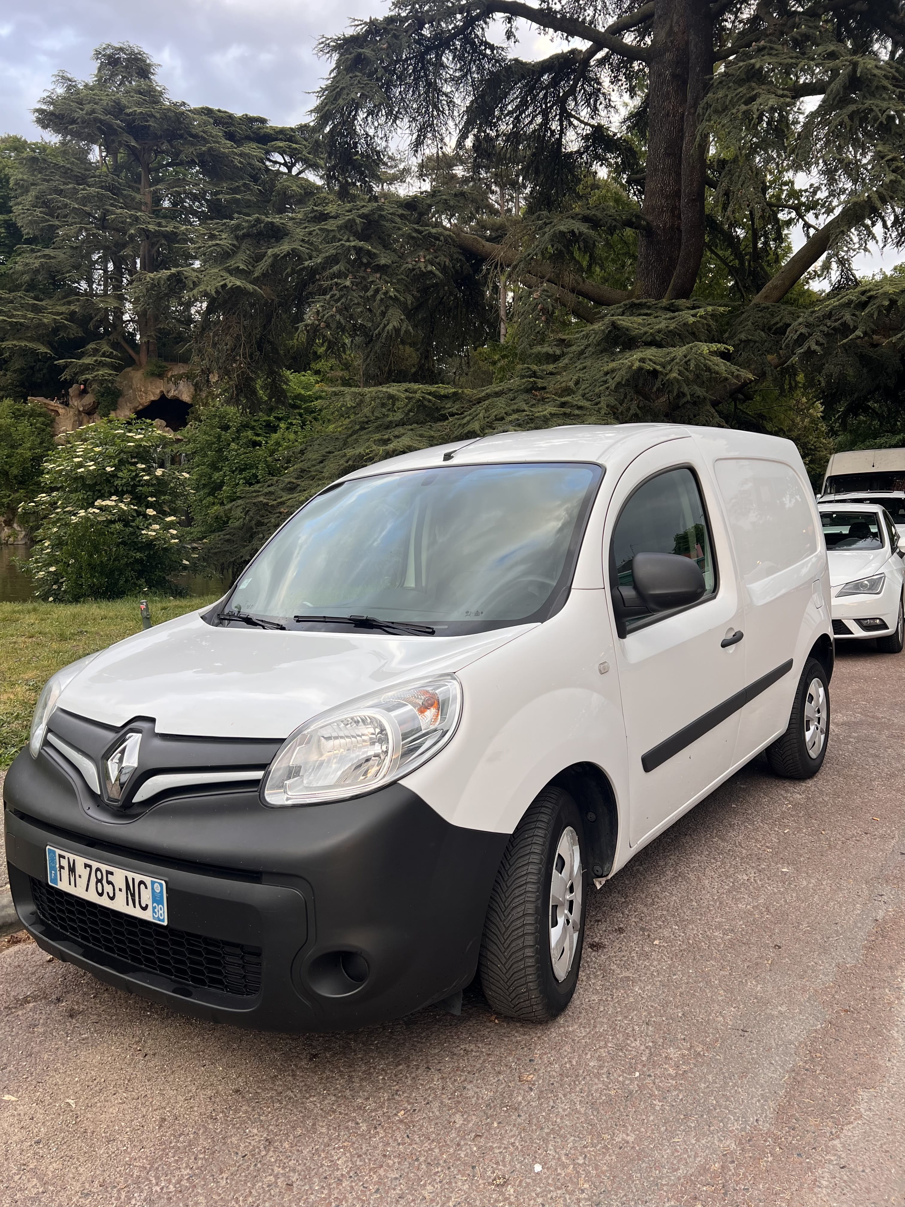 Renault Kangoo Fourgon, 2019, Diesel