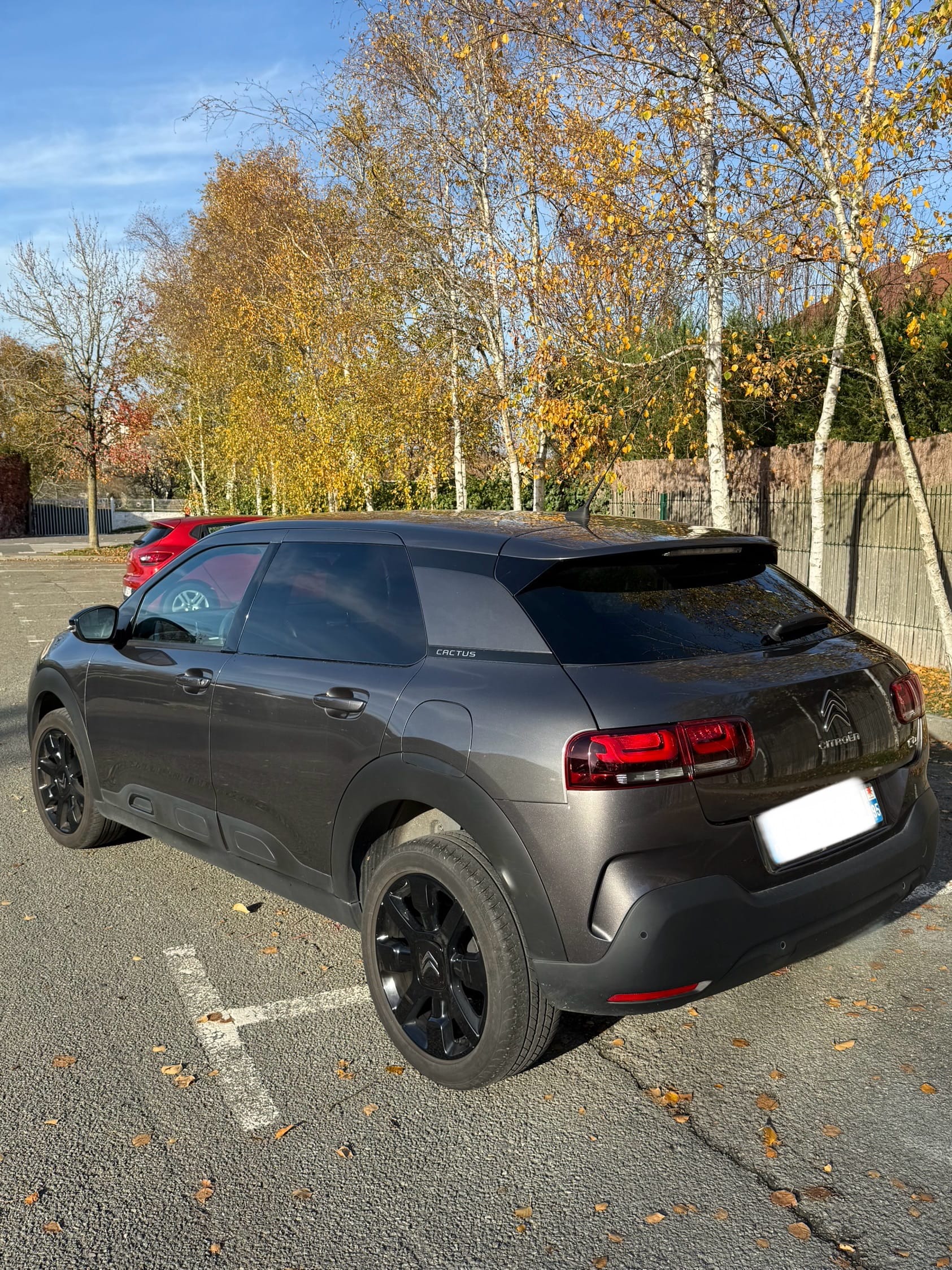 Citroen C4 Cactus avec Climatisation