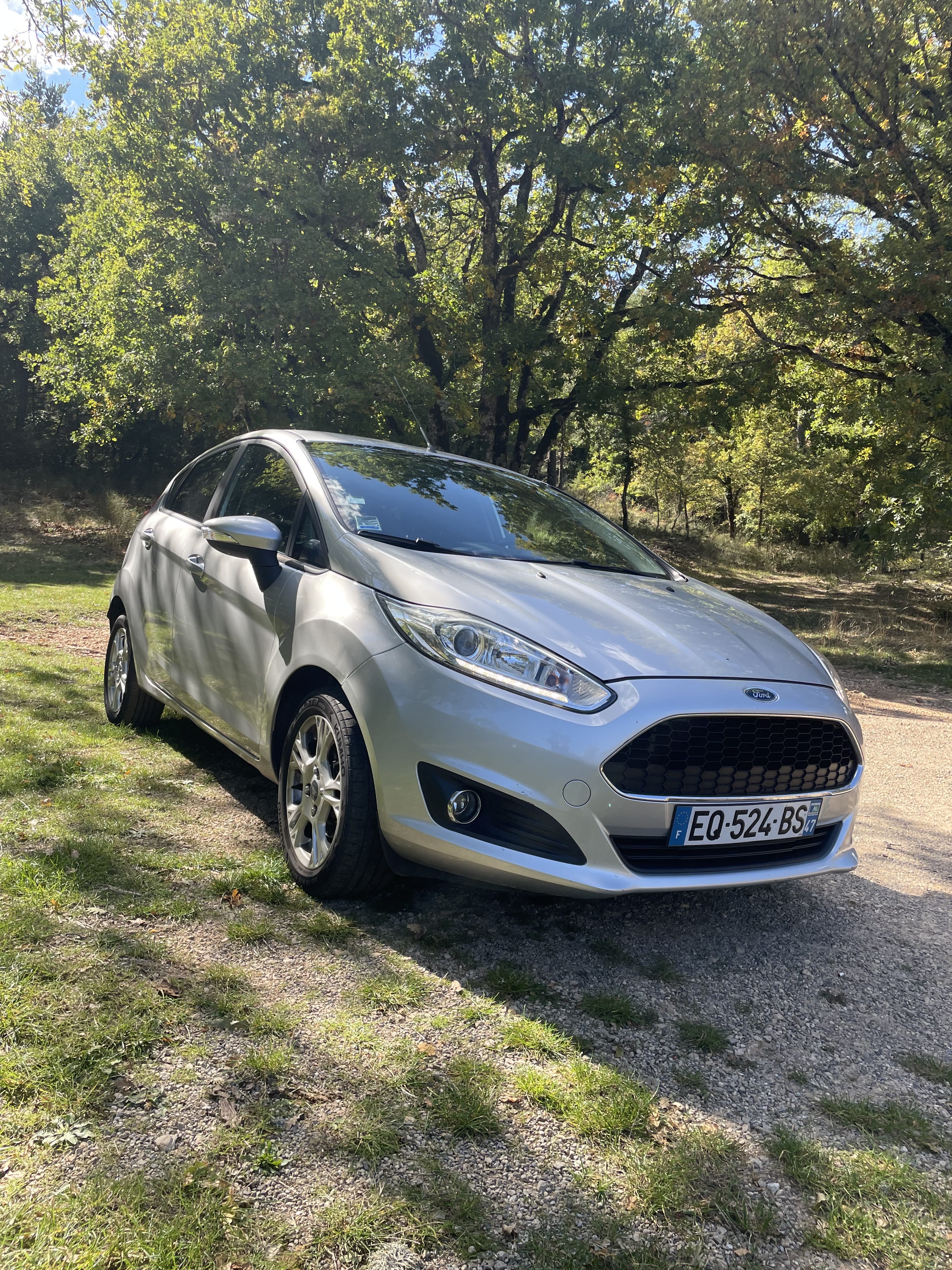 Ford Fiesta Titanium, 2017, Diesel