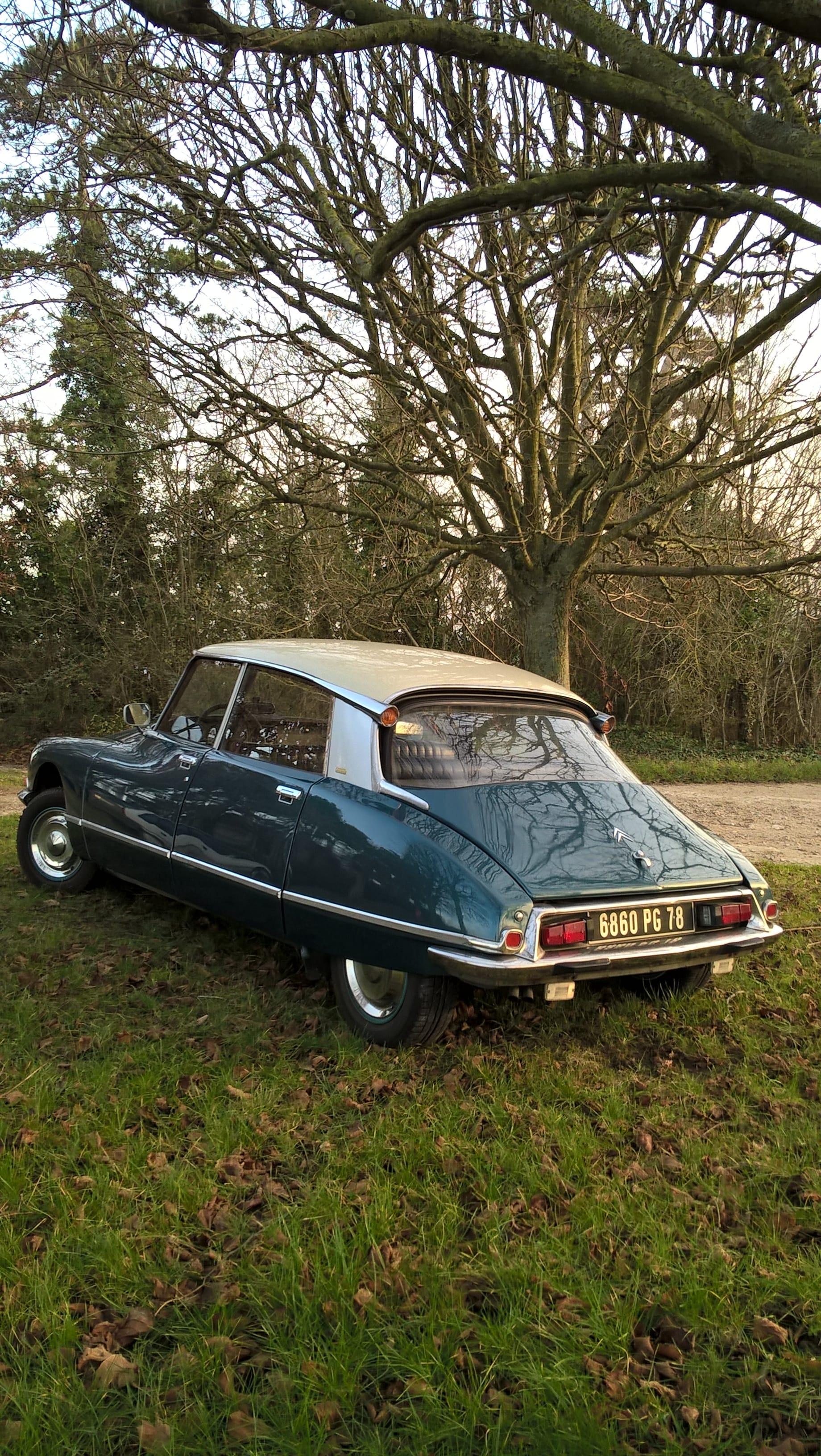 Citroen DS20
