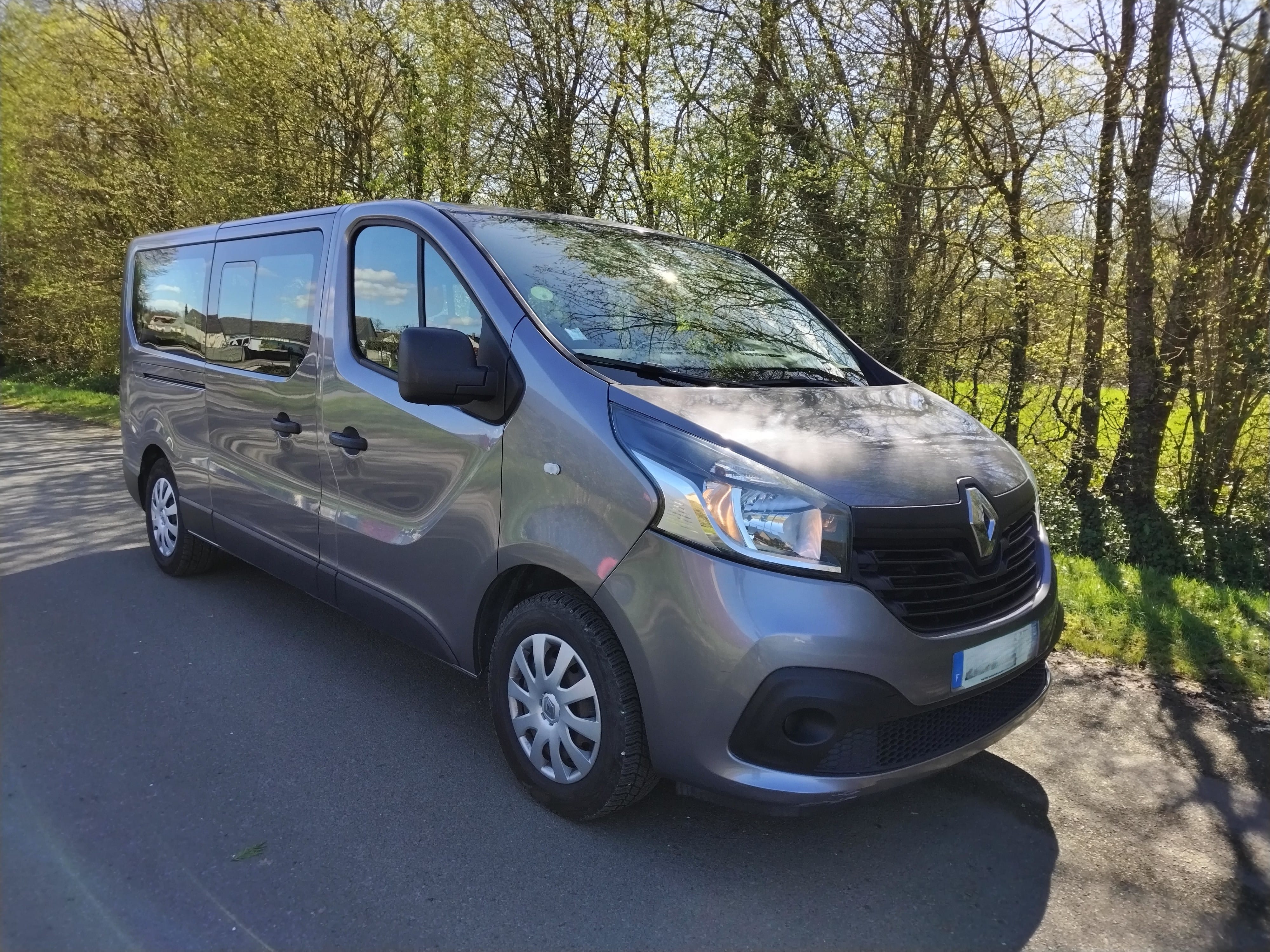 Renault Trafic Passenger, 2017, Diesel, 9 places et plus