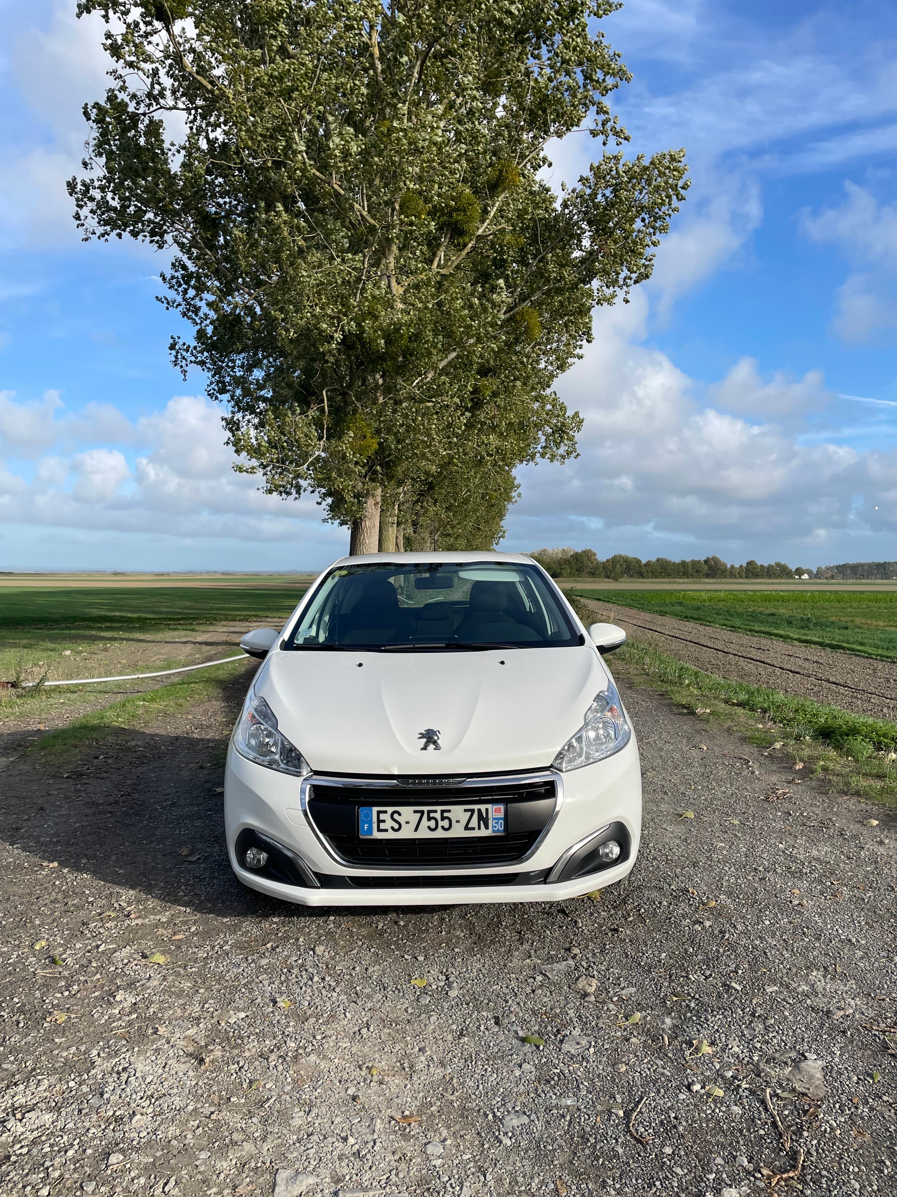 Peugeot 208 avec Climatisation