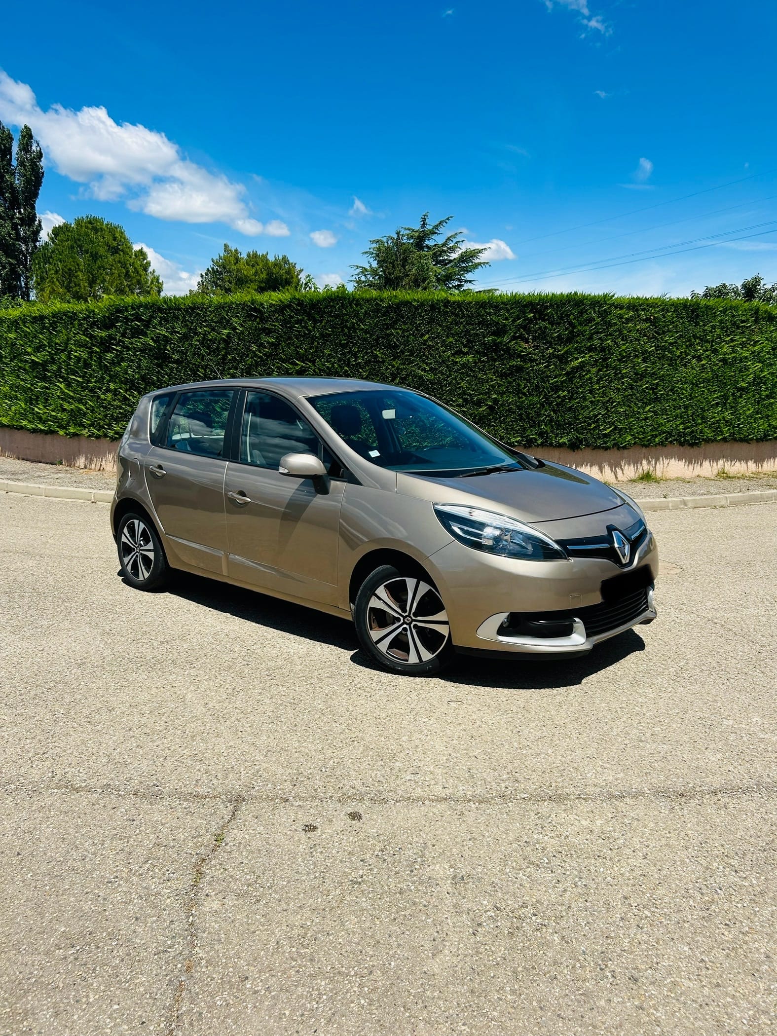 Renault Scenic, 2014, Diesel