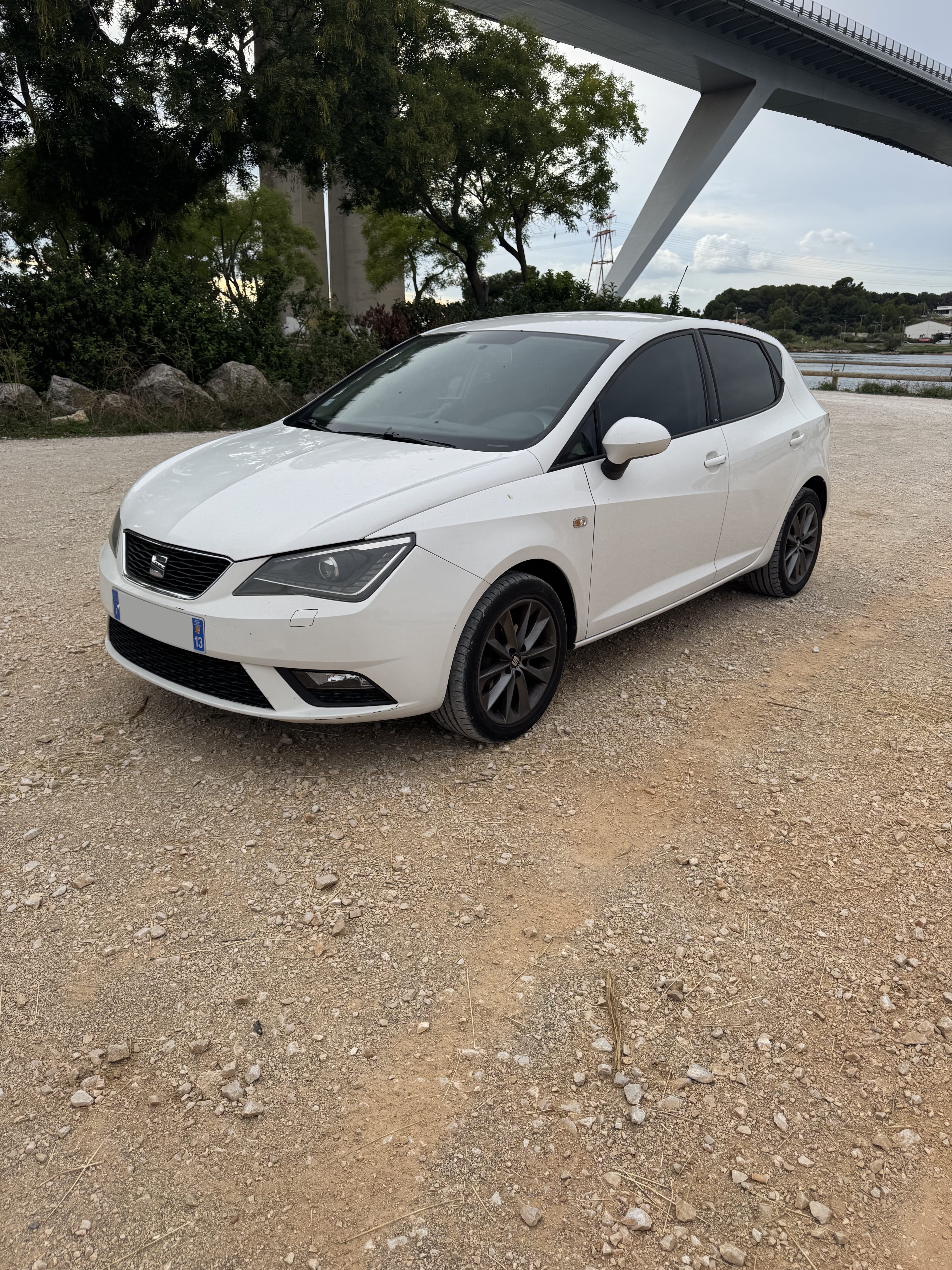 Seat Ibiza, 2015, Essence 95