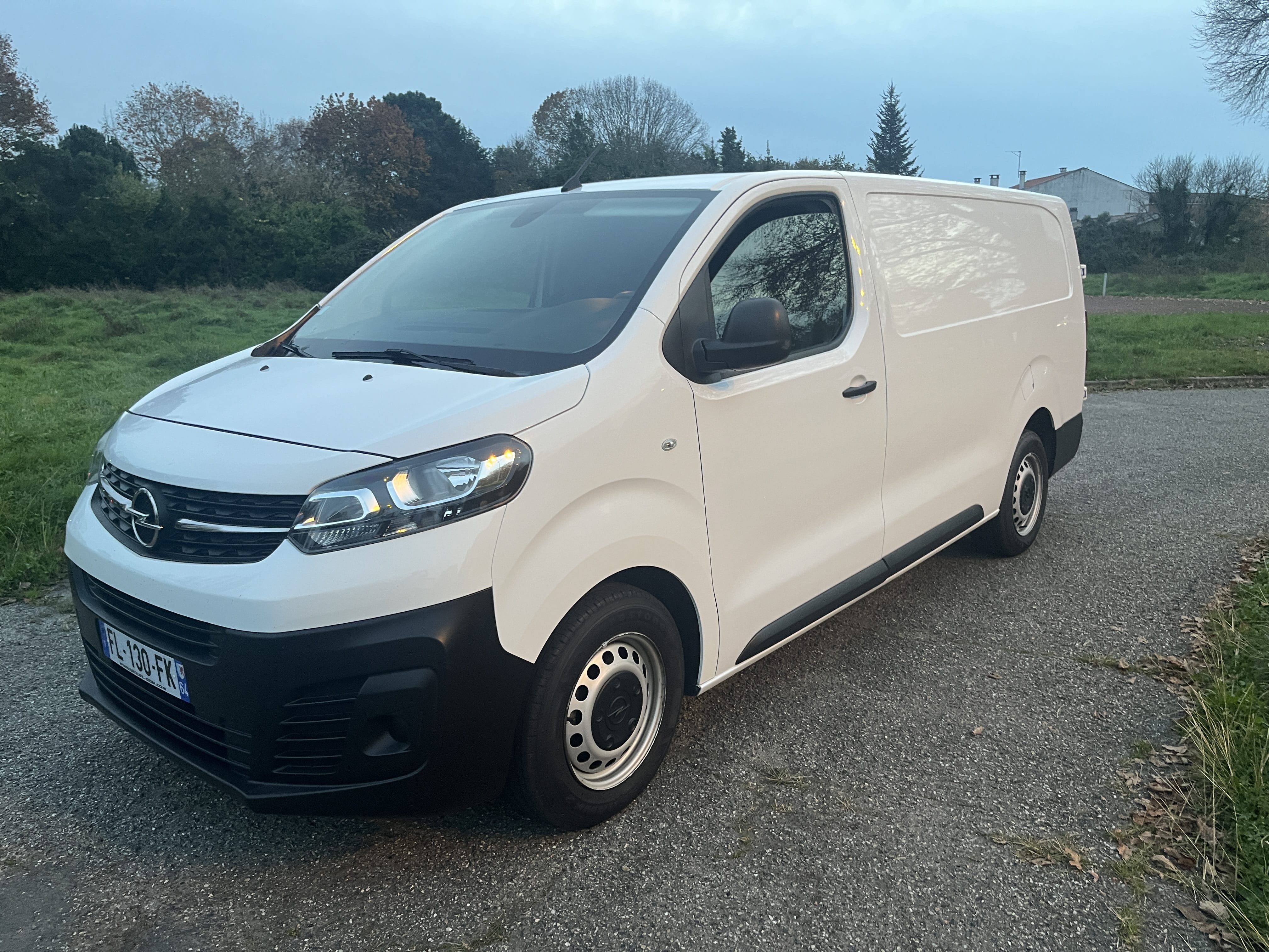 Opel Vivaro, 2019, Diesel