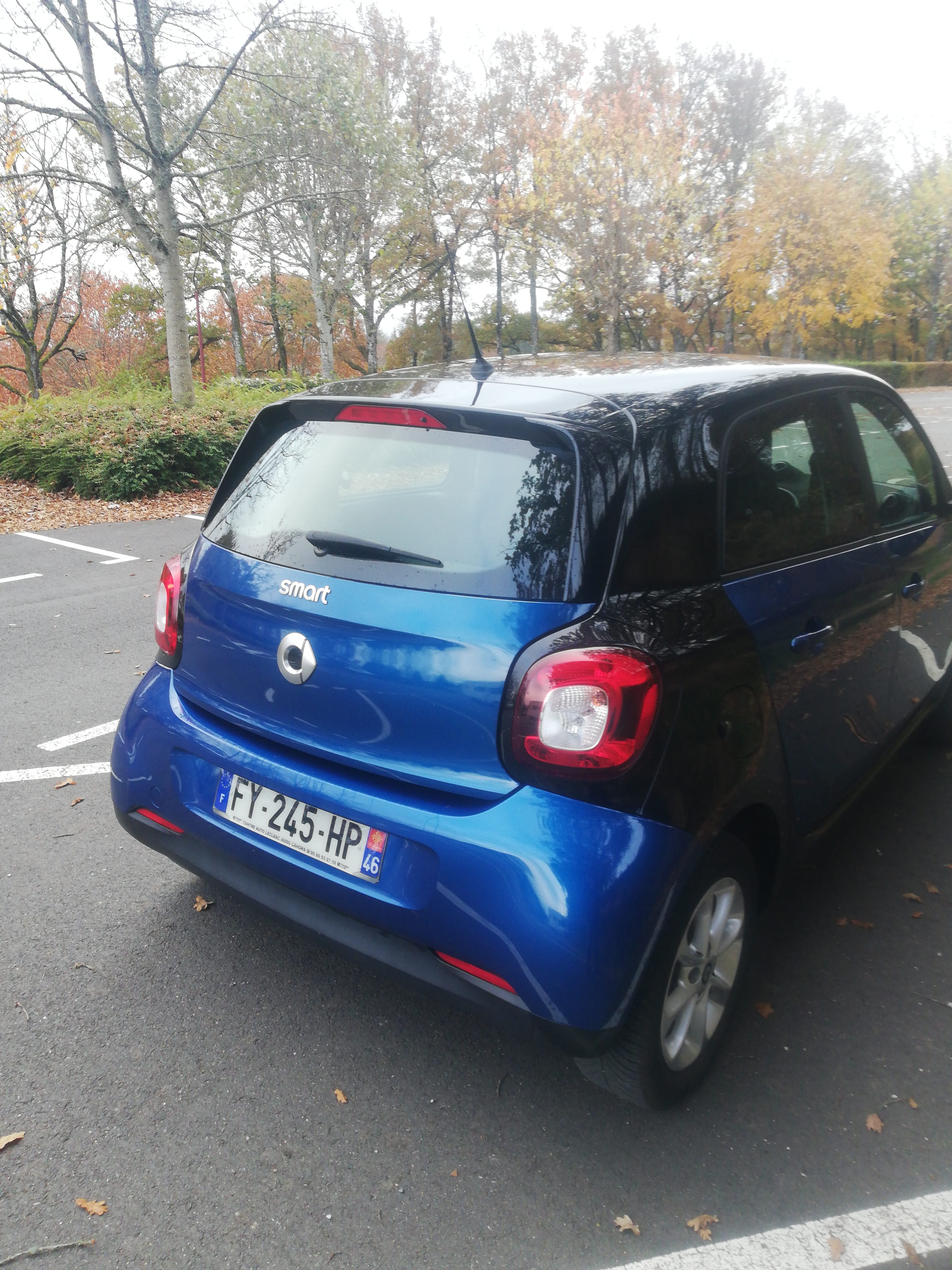 Smart Forfour avec Régulateur de vitesse
