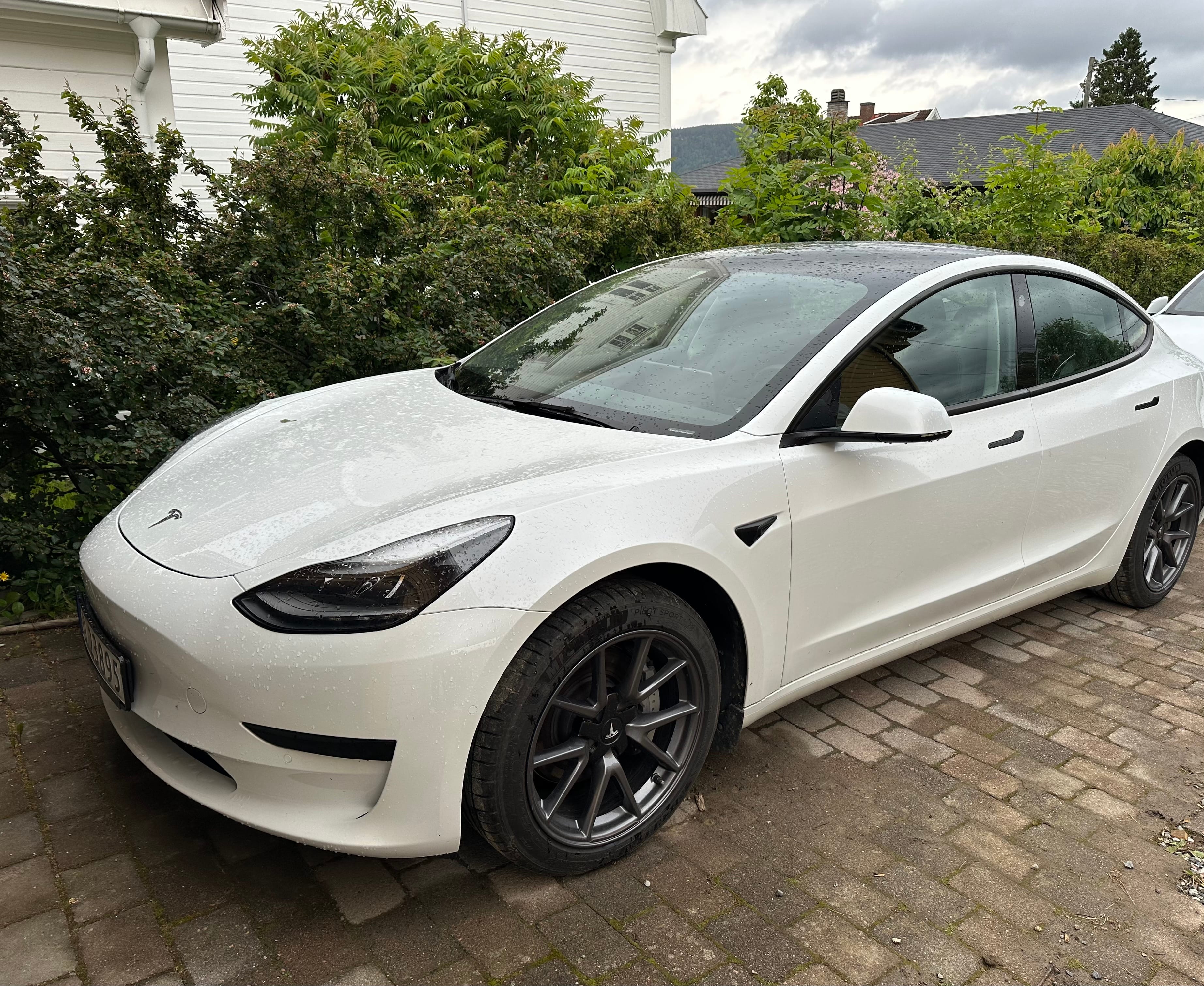 Tesla Model 3 Standard Range med Ryggekamera