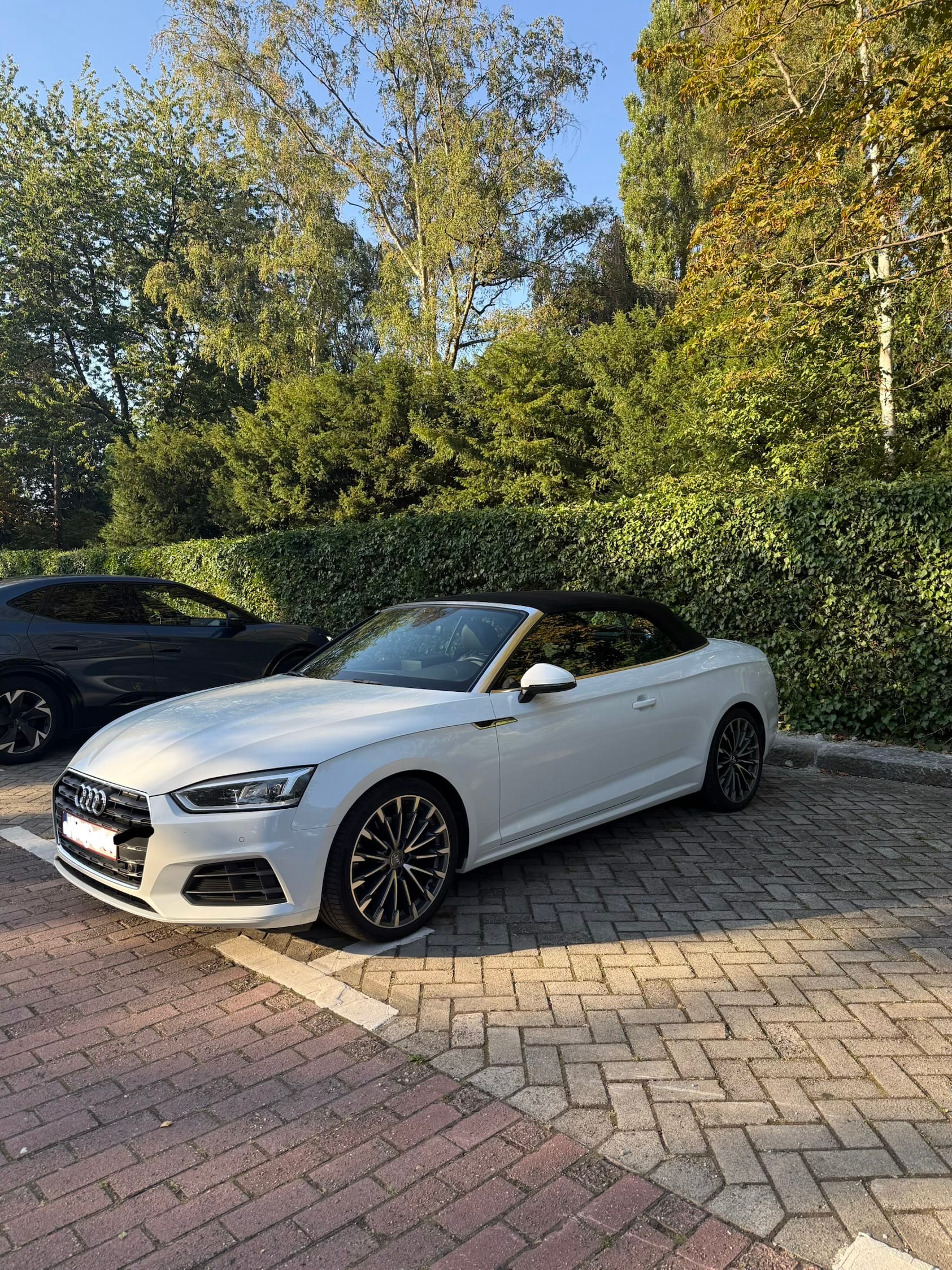 Audi A5 Cabriolet 2.0, 2018, Euro 95 (E10), automatisch