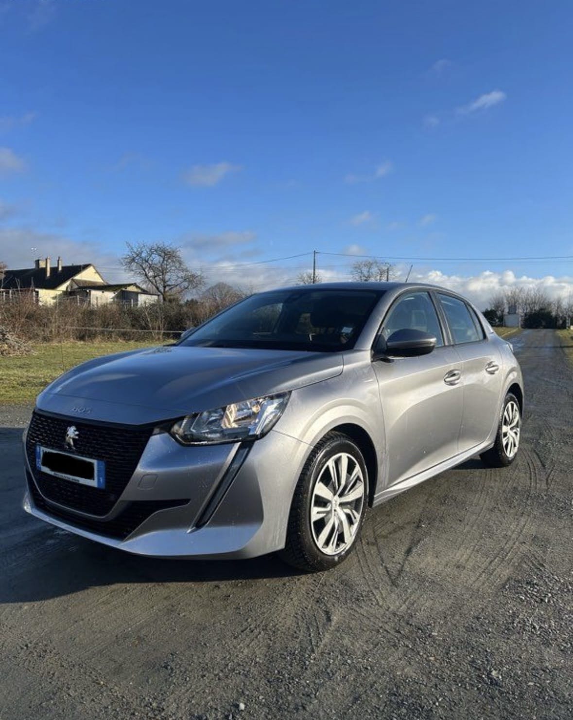 Peugeot 208 II Fauve, 2020, Essence 98
