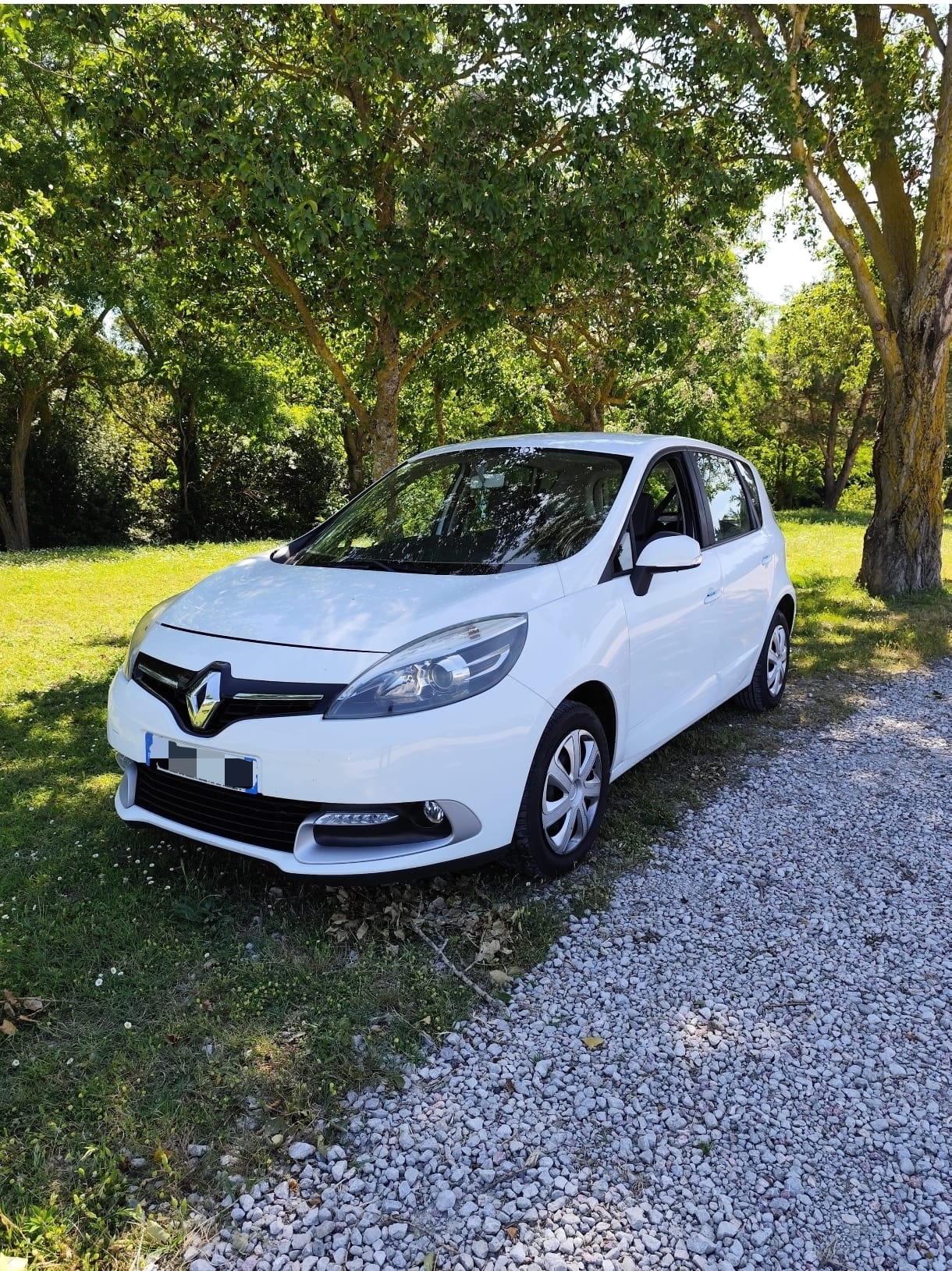 Renault Scenic, 2014, Diesel