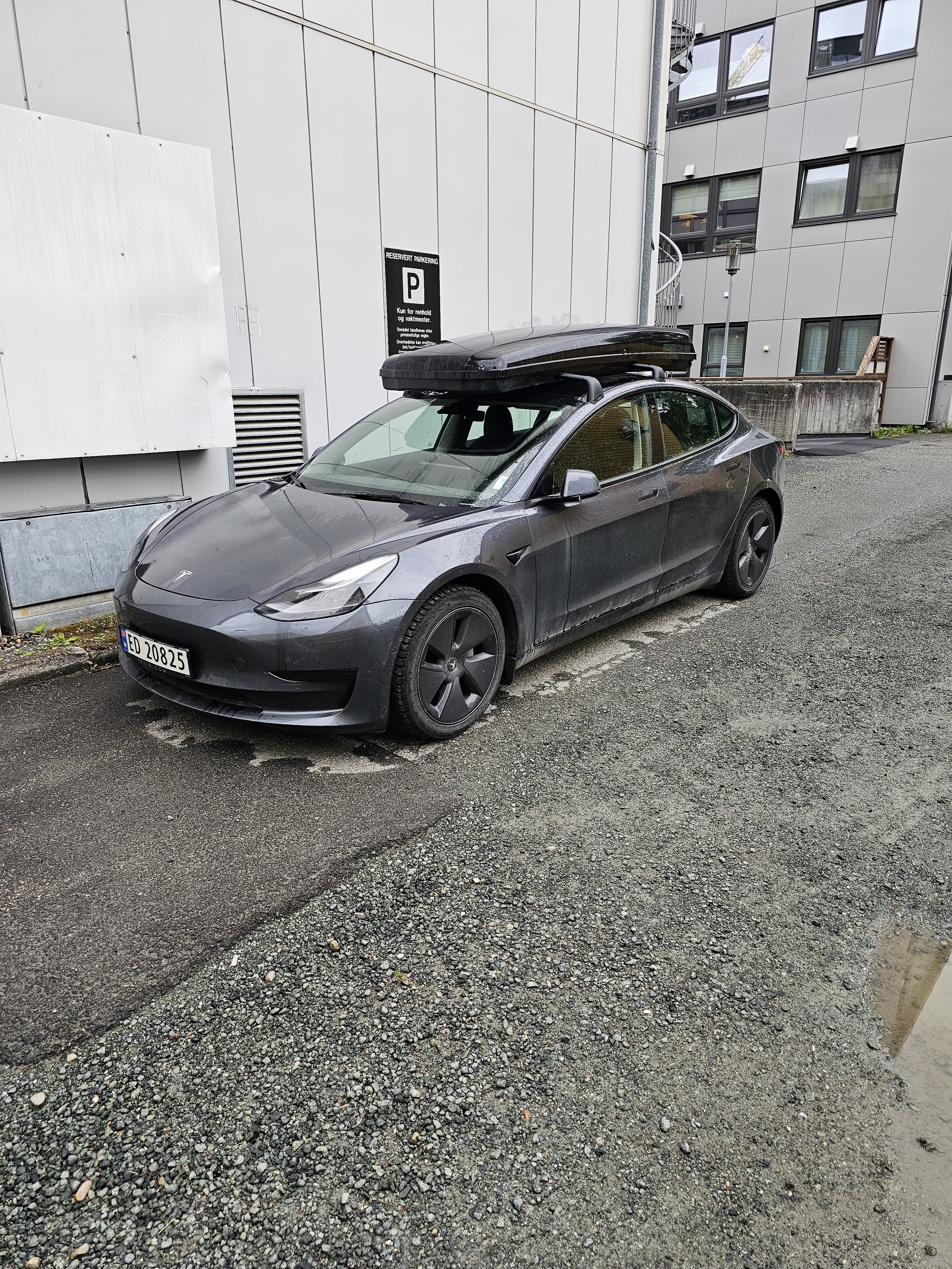 Tesla Model 3 Standard Range Plus, 2021, Elektrisk, automatisk