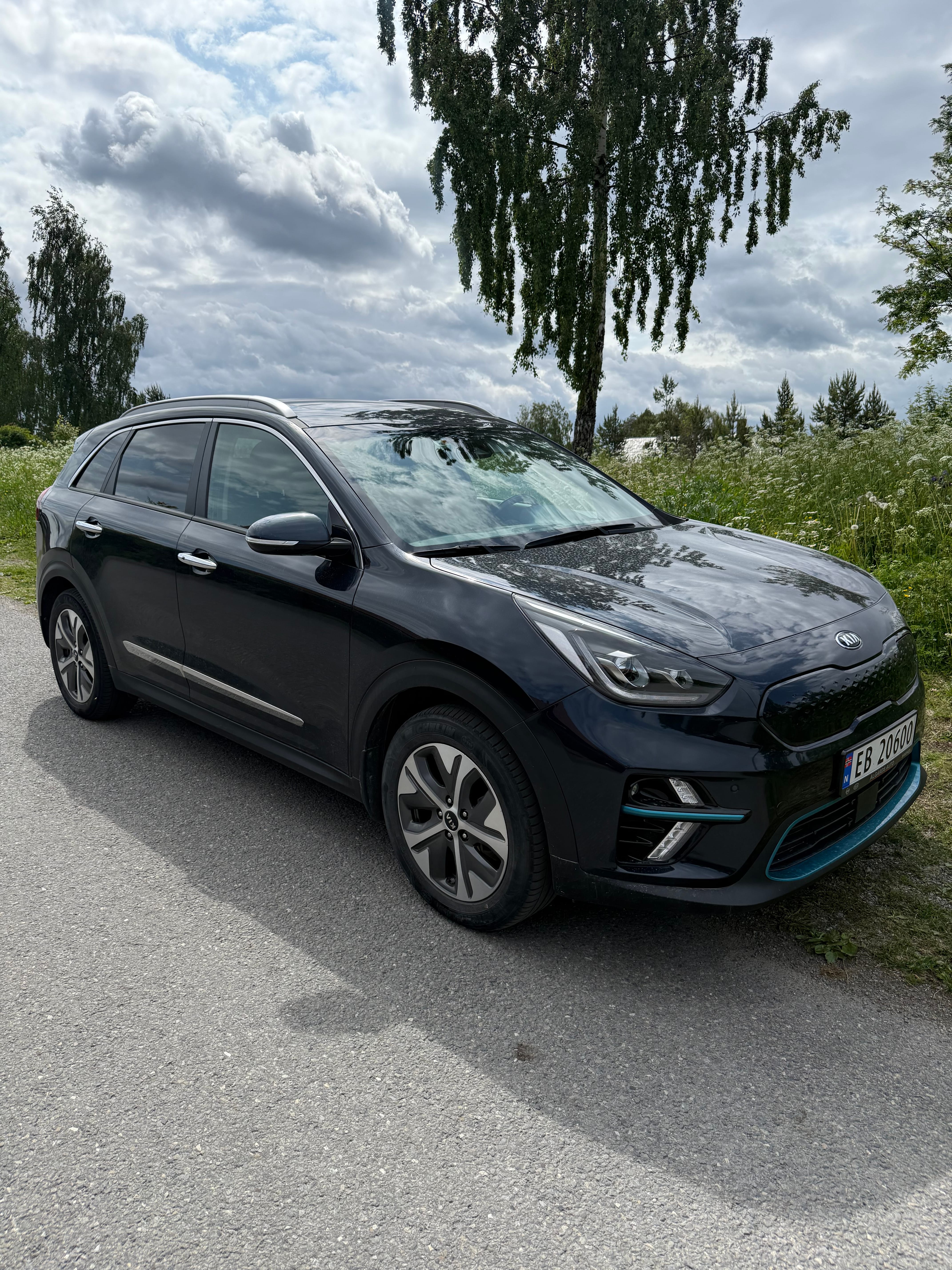 Kia e-Niro First Edition, 2019, Elektrisk, automatisk