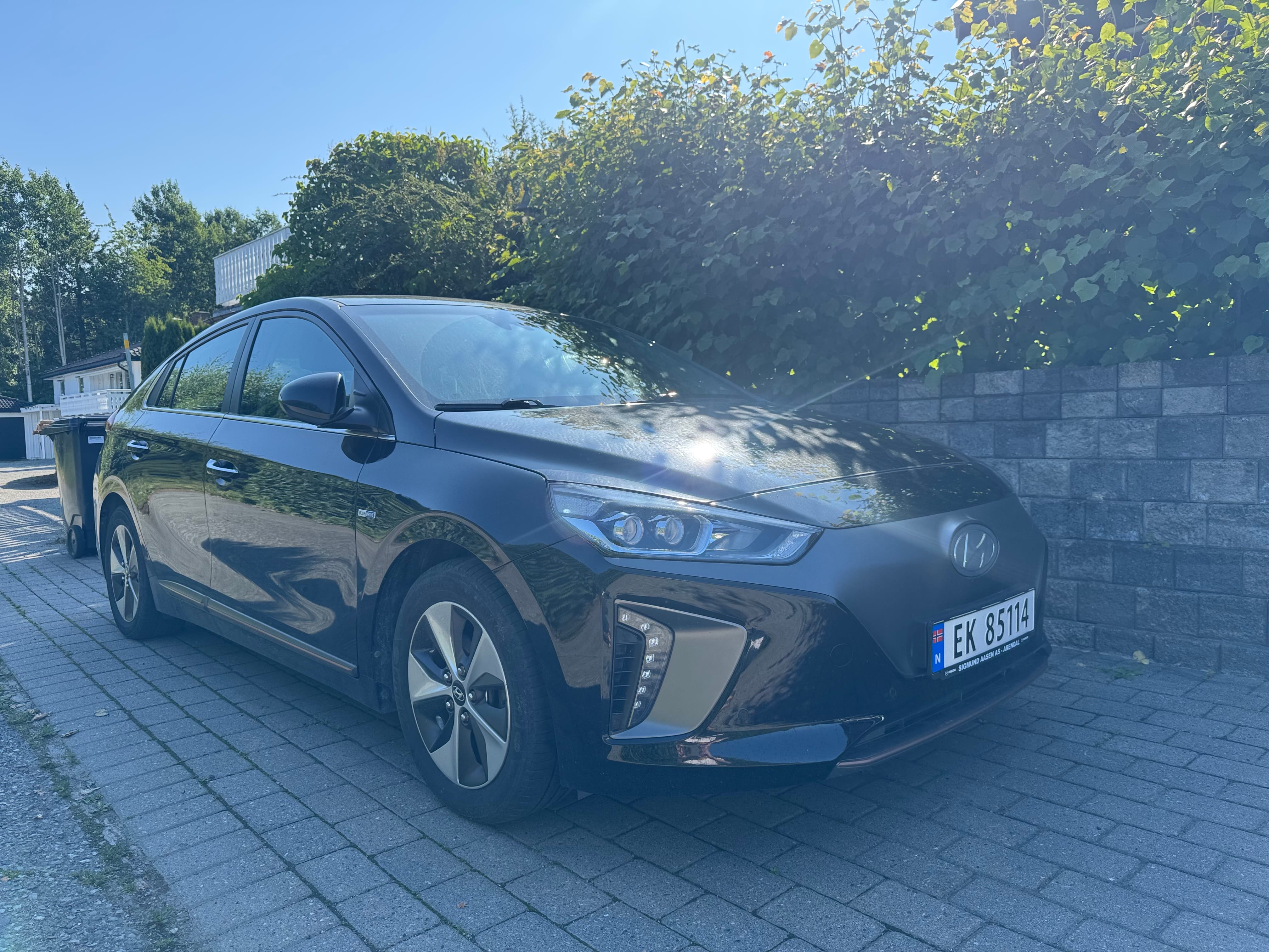 Hyundai Ioniq, 2018, Elektrisk, automatisk