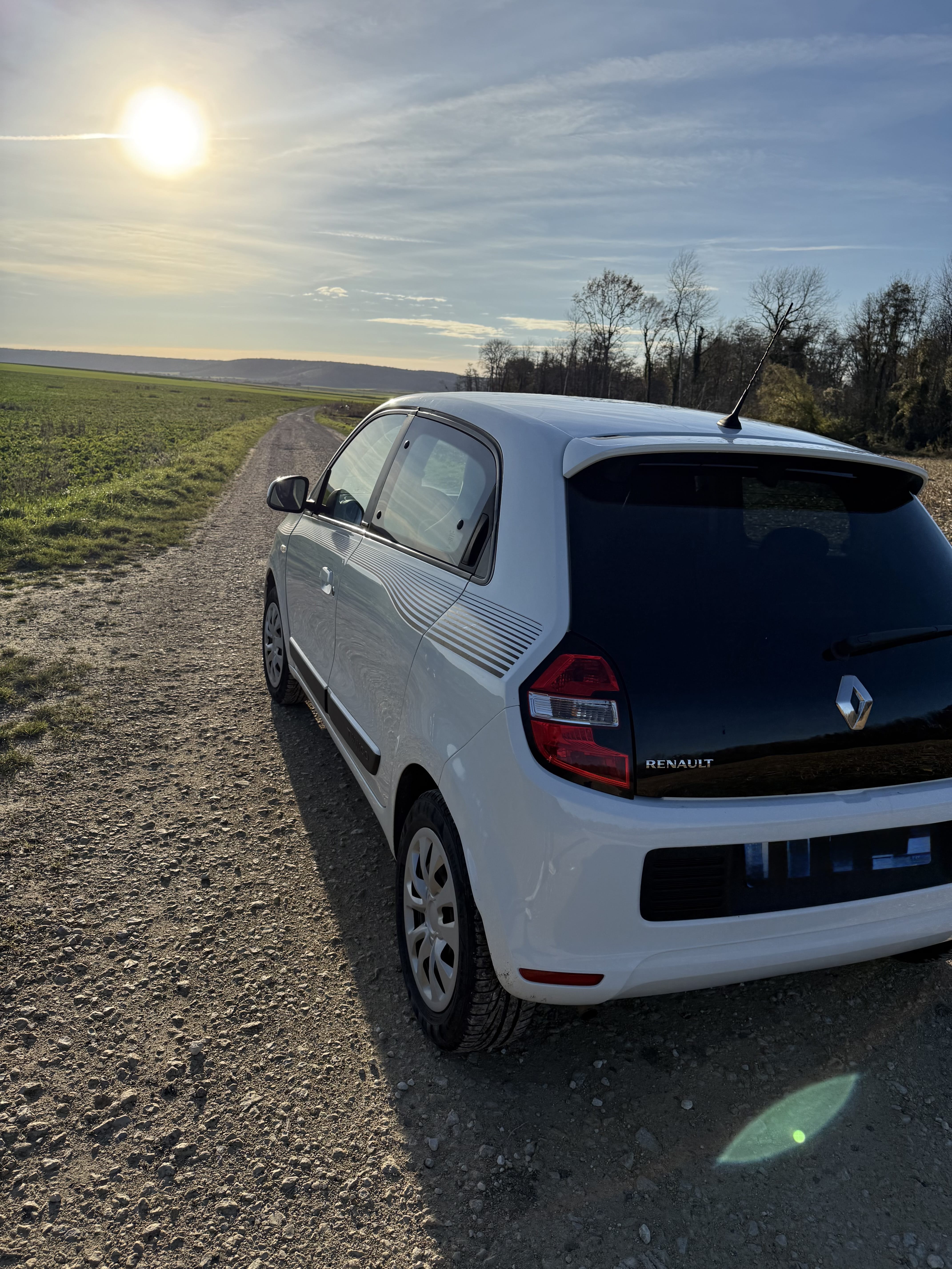 Renault Twingo III avec Régulateur de vitesse