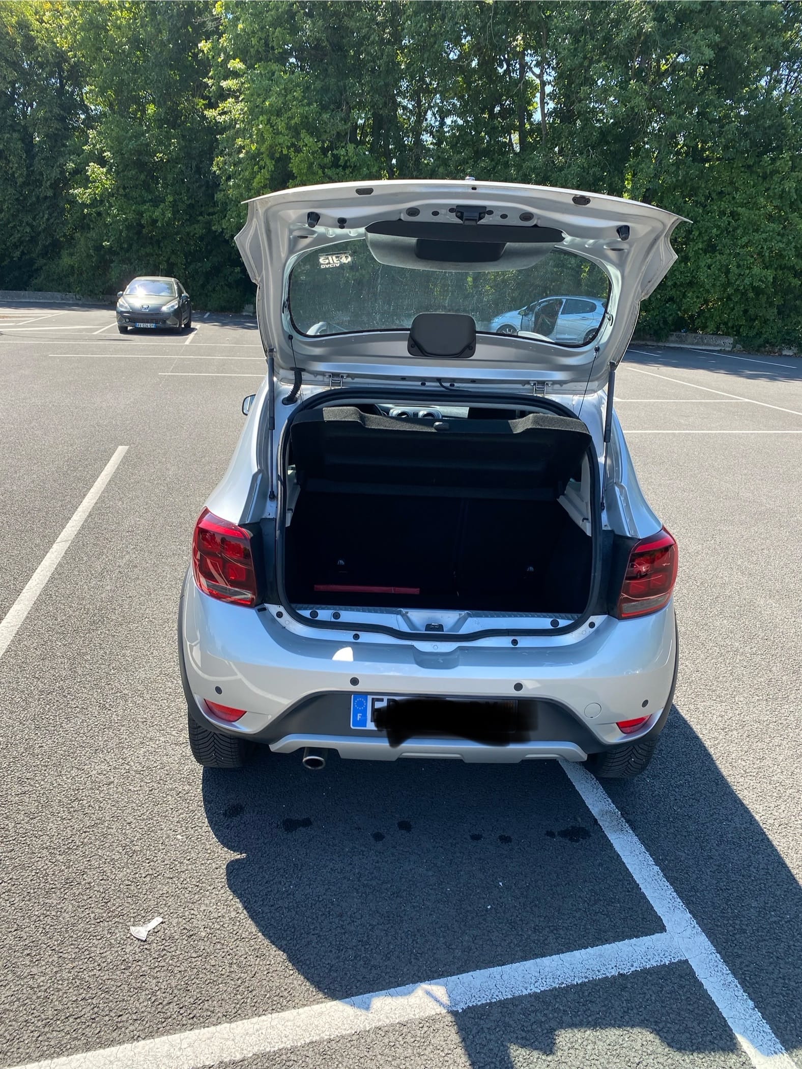 Dacia Sandero Stepway