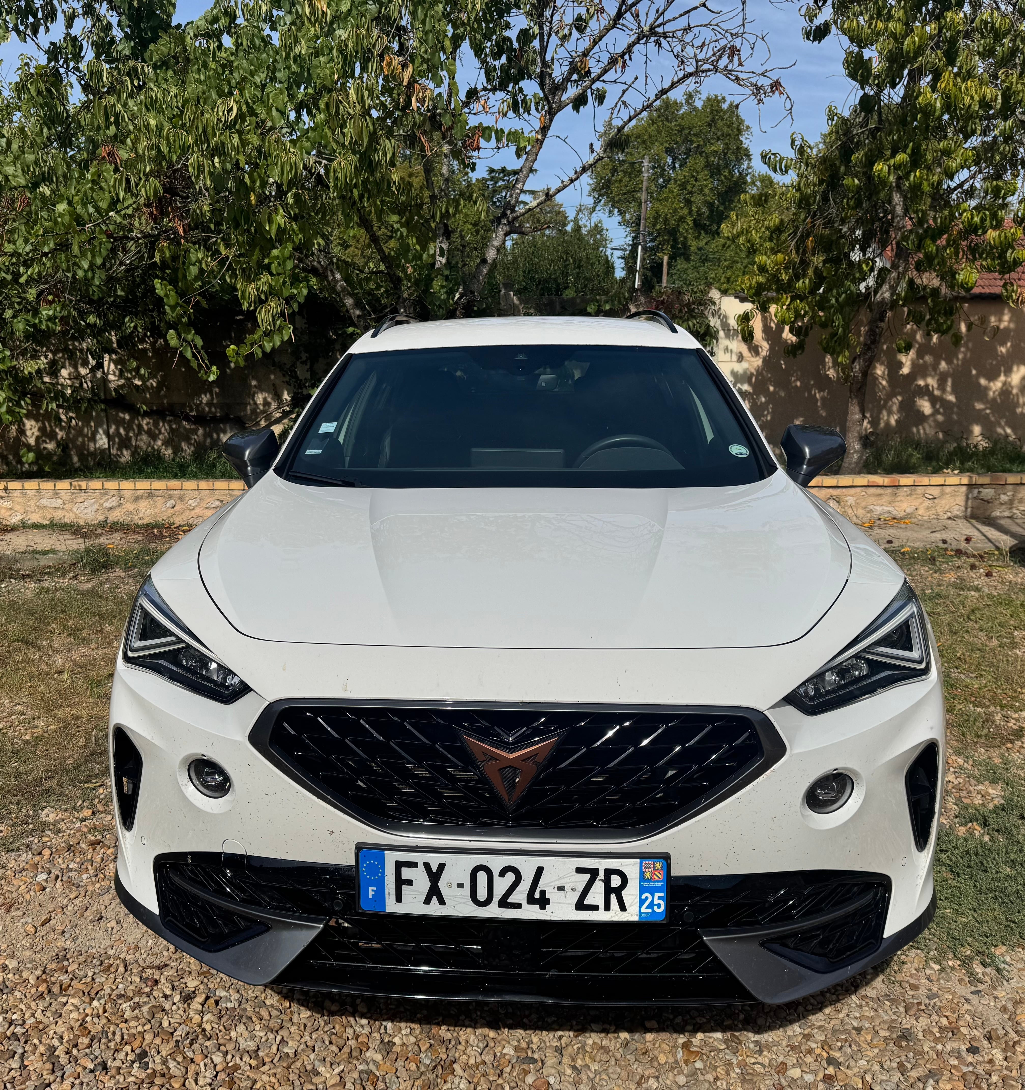 Cupra Formentor avec Climatisation