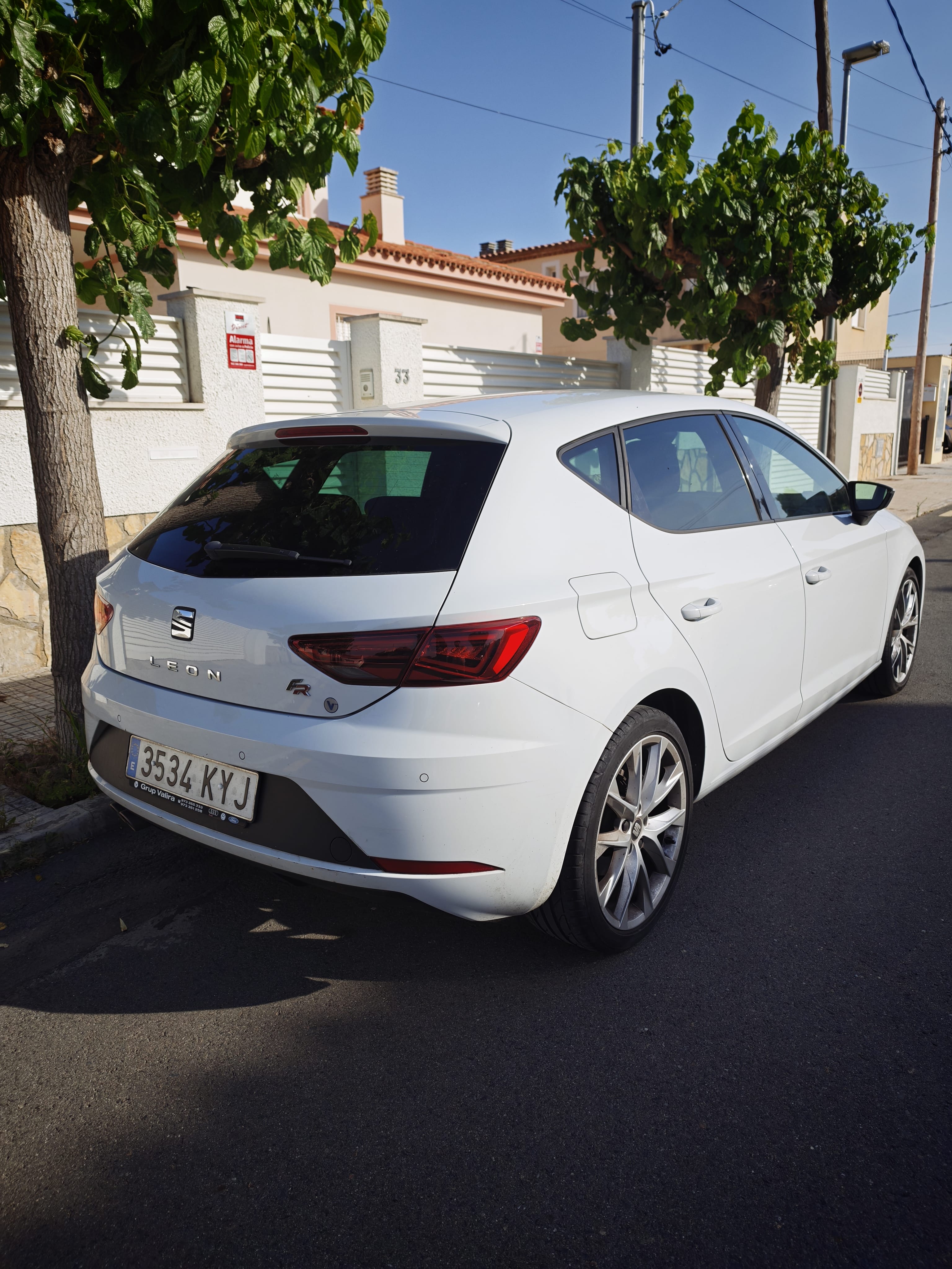 Seat Leon mit Rückfahrkamera