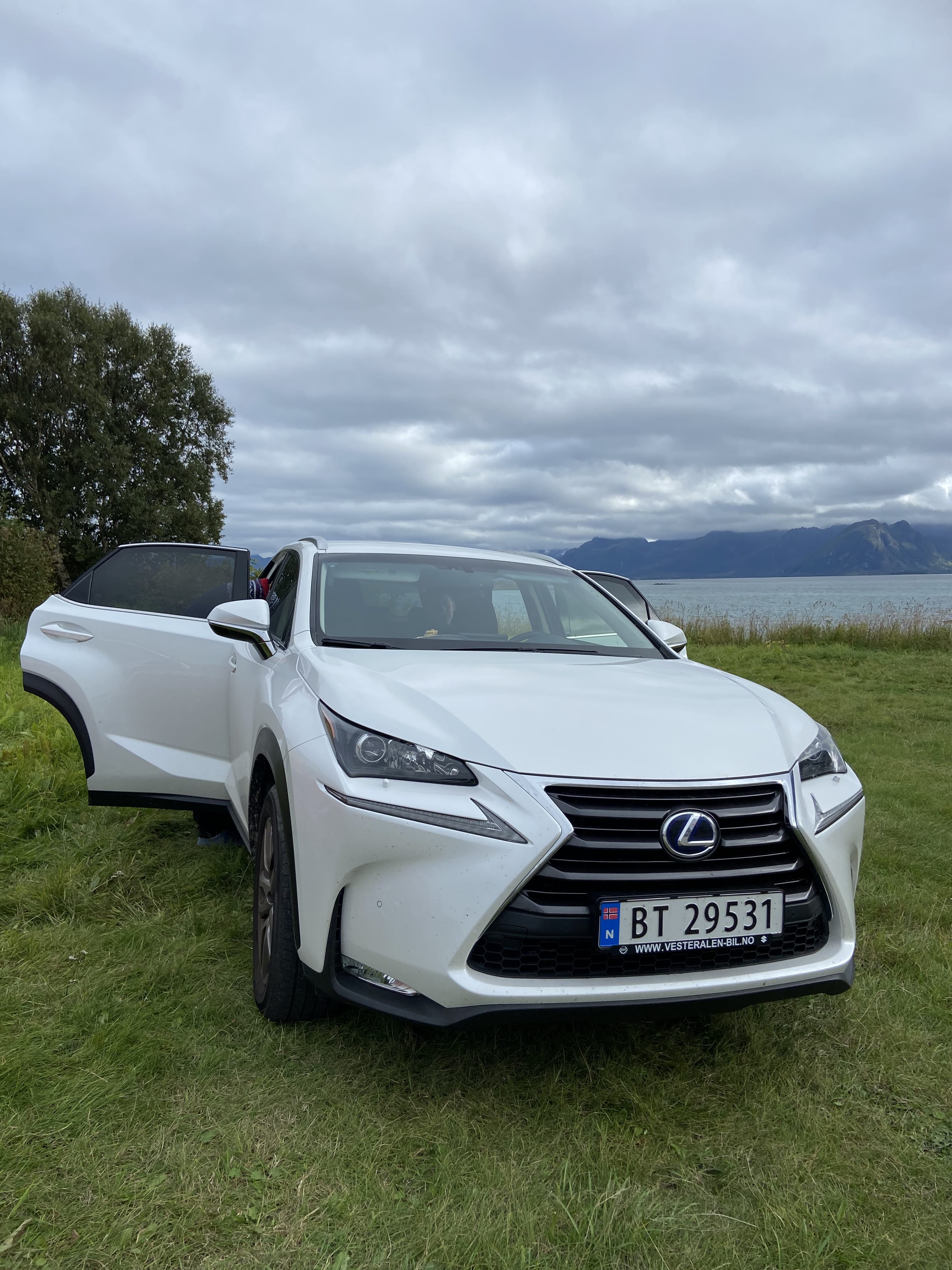 Lexus NX 300, 2015, Blyfri 95 / Electric (hybrid), automatic