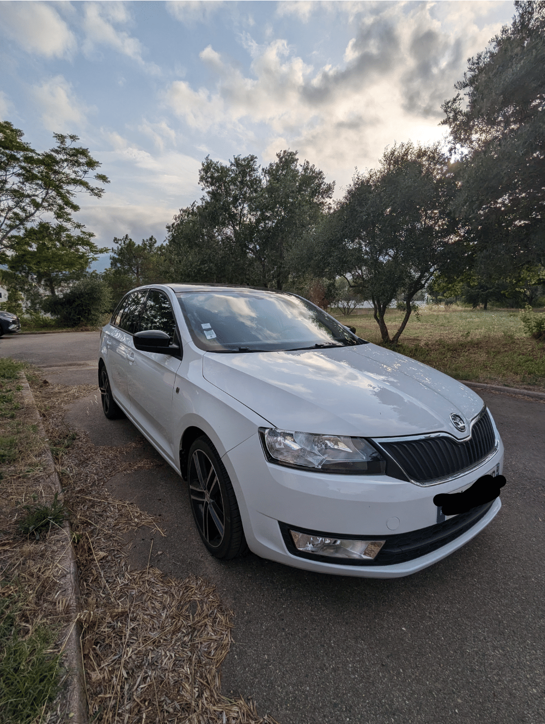 Skoda Rapid, 2015, Diesel