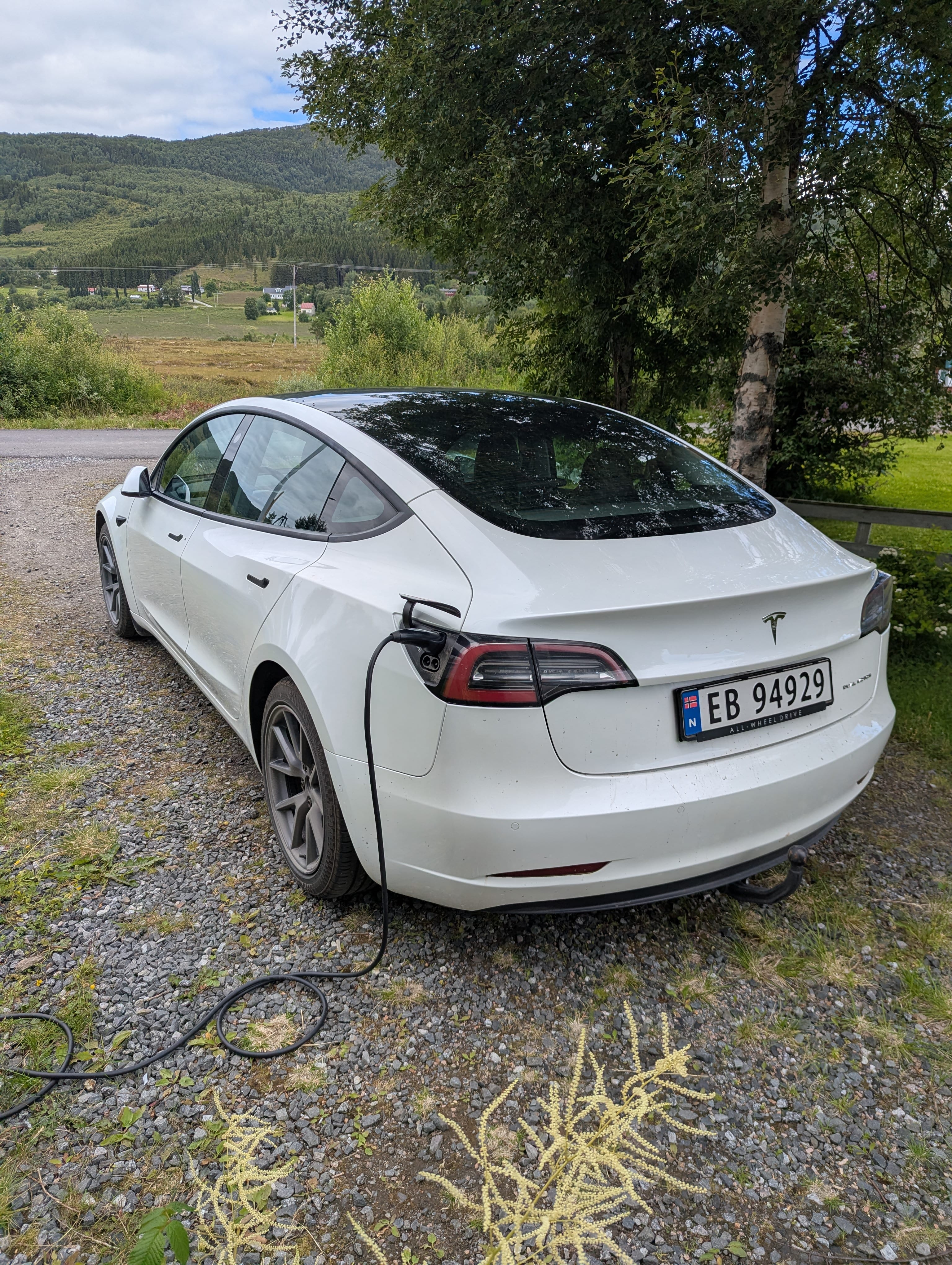 Tesla Model 3 Long Range med Ryggekamera