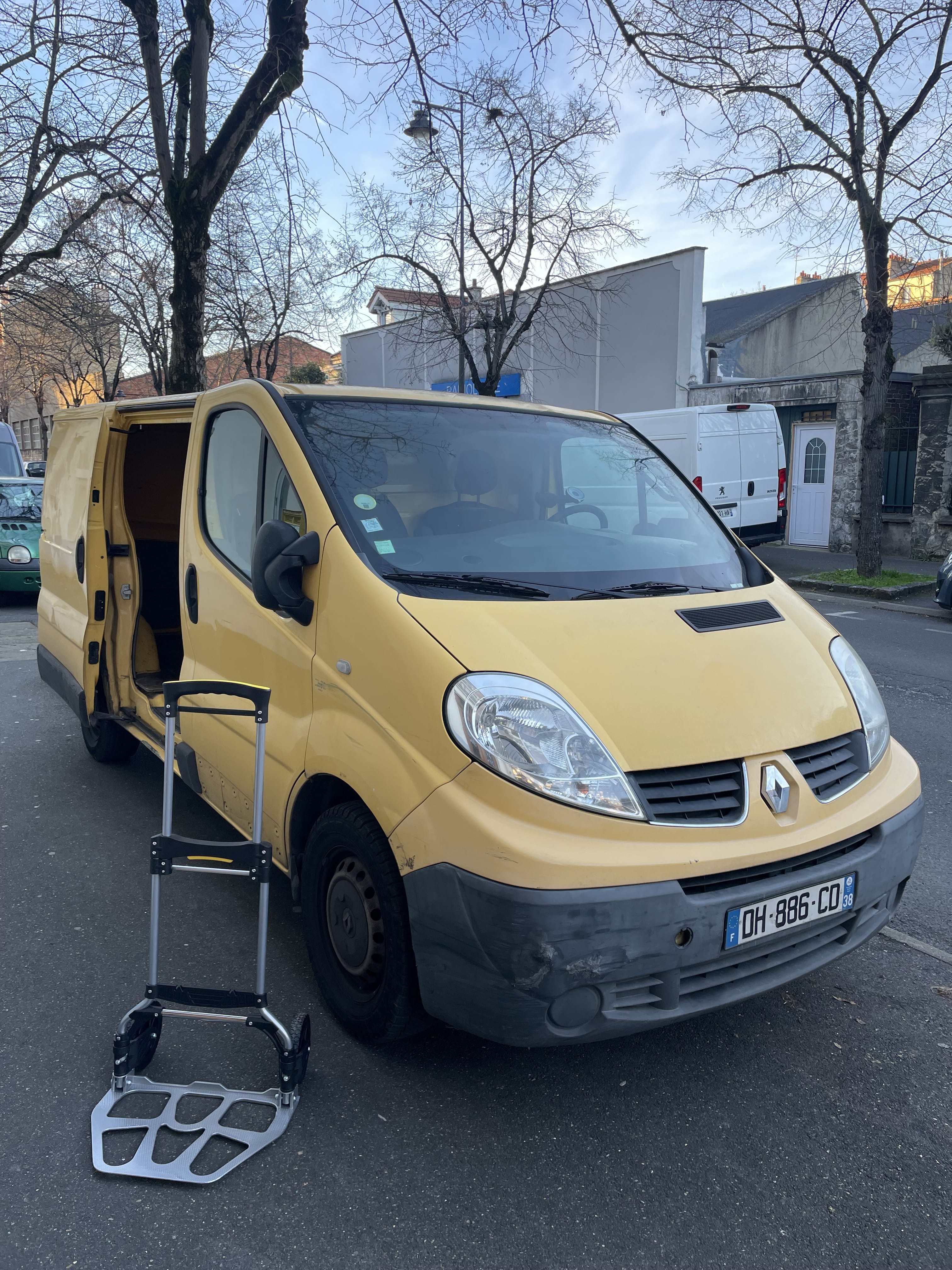 Renault Trafic (diable fourni), 2014, Diesel