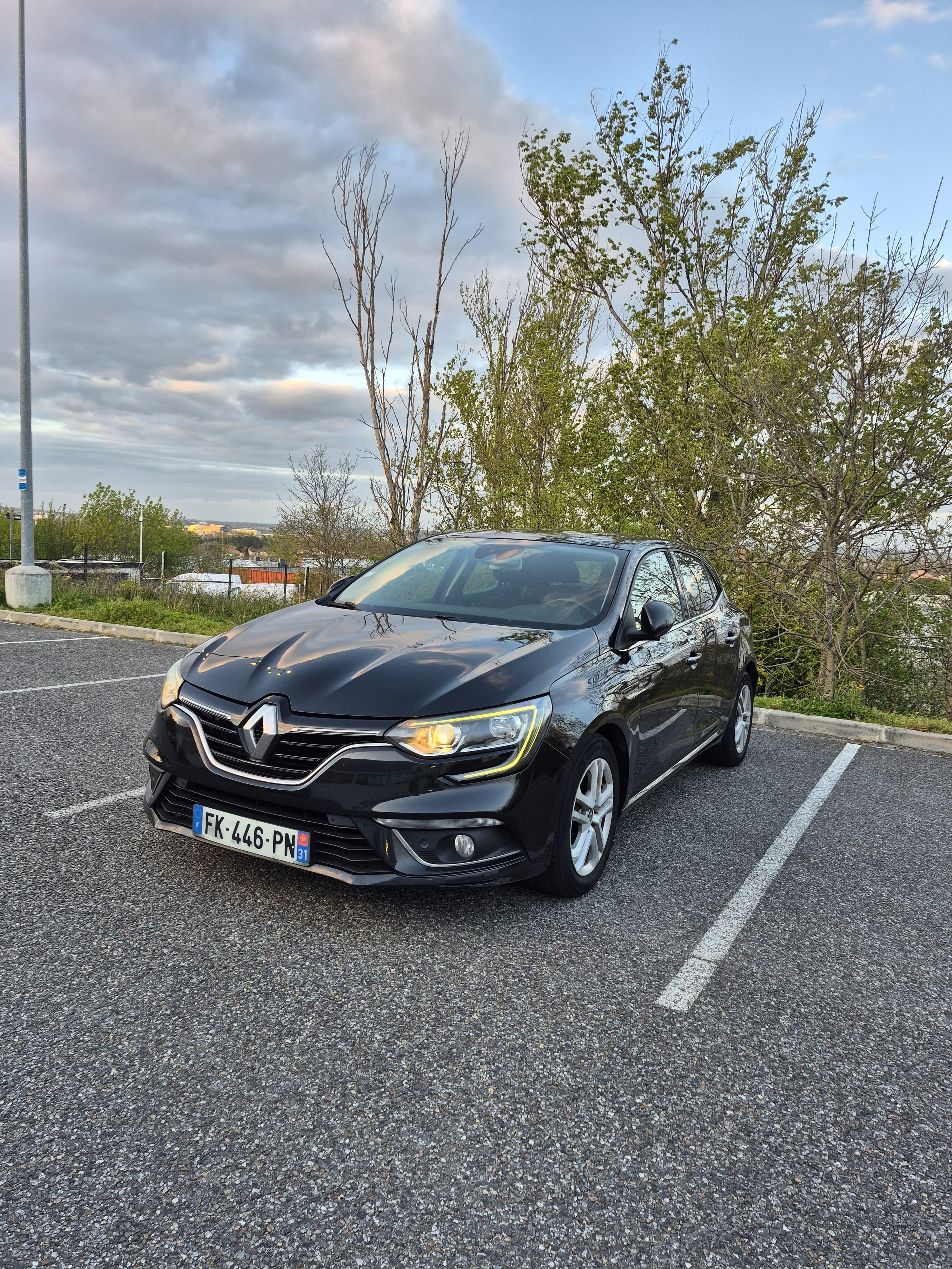 Renault Mégane, 2019, Diesel, automatique